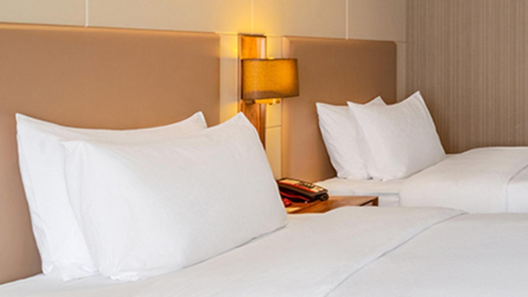 Premium Room photo 2