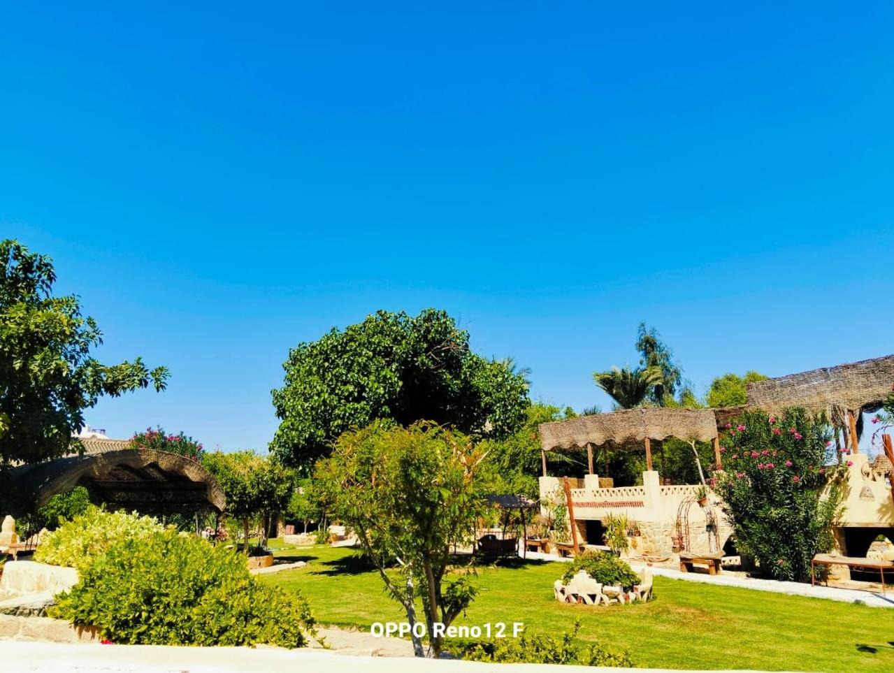 Villa with Garden View