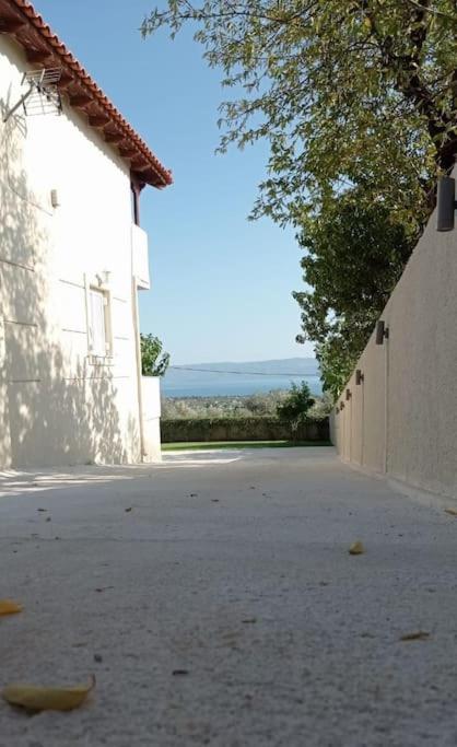 Villa with Sea View photo 2