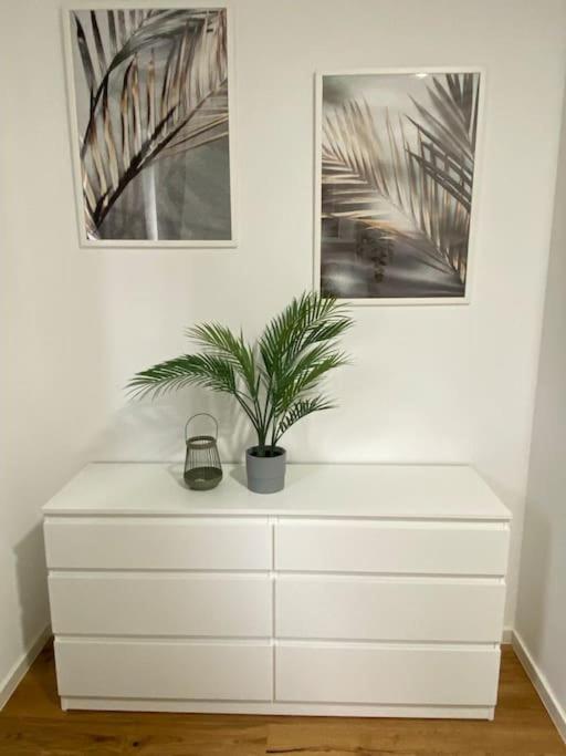 Three-Bedroom Apartment photo 2