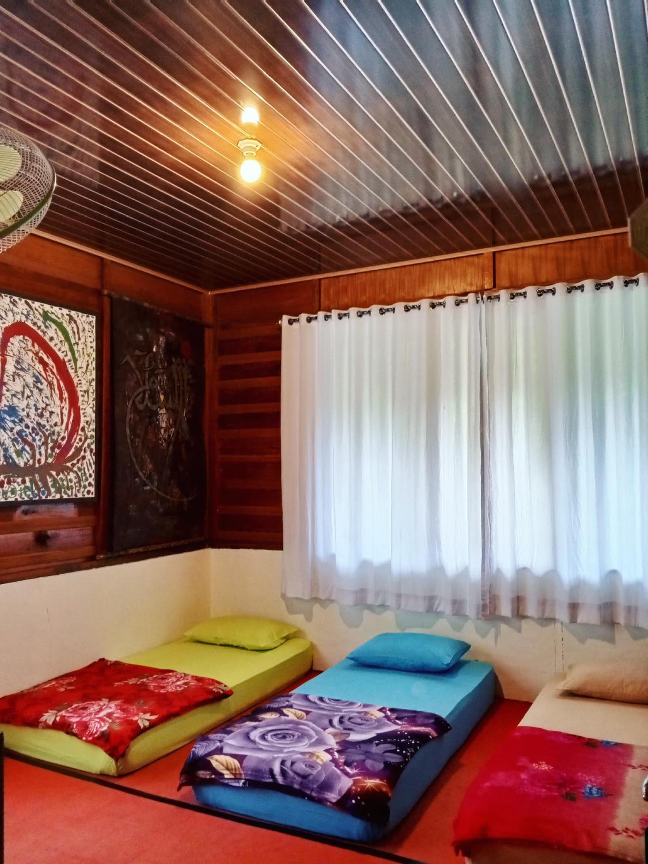 Family Room - Photo 1