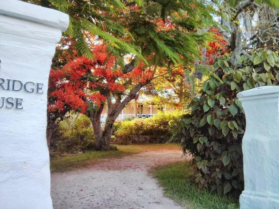 Villa photo 1