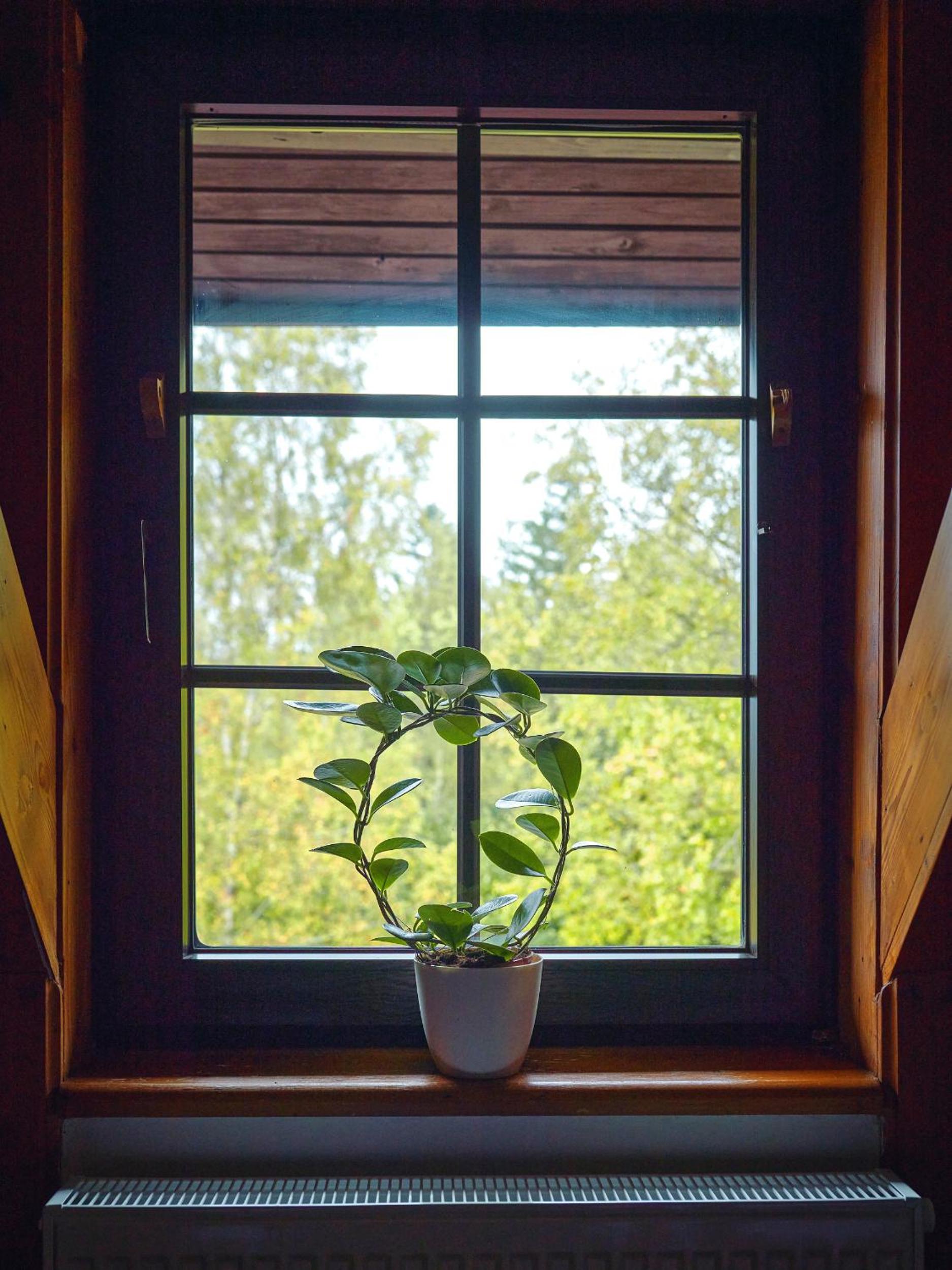Family Room - Photo 8