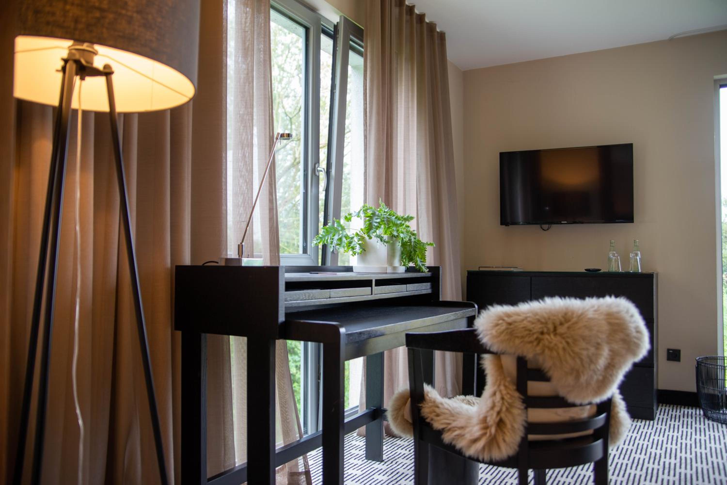 Suite - Photo 6