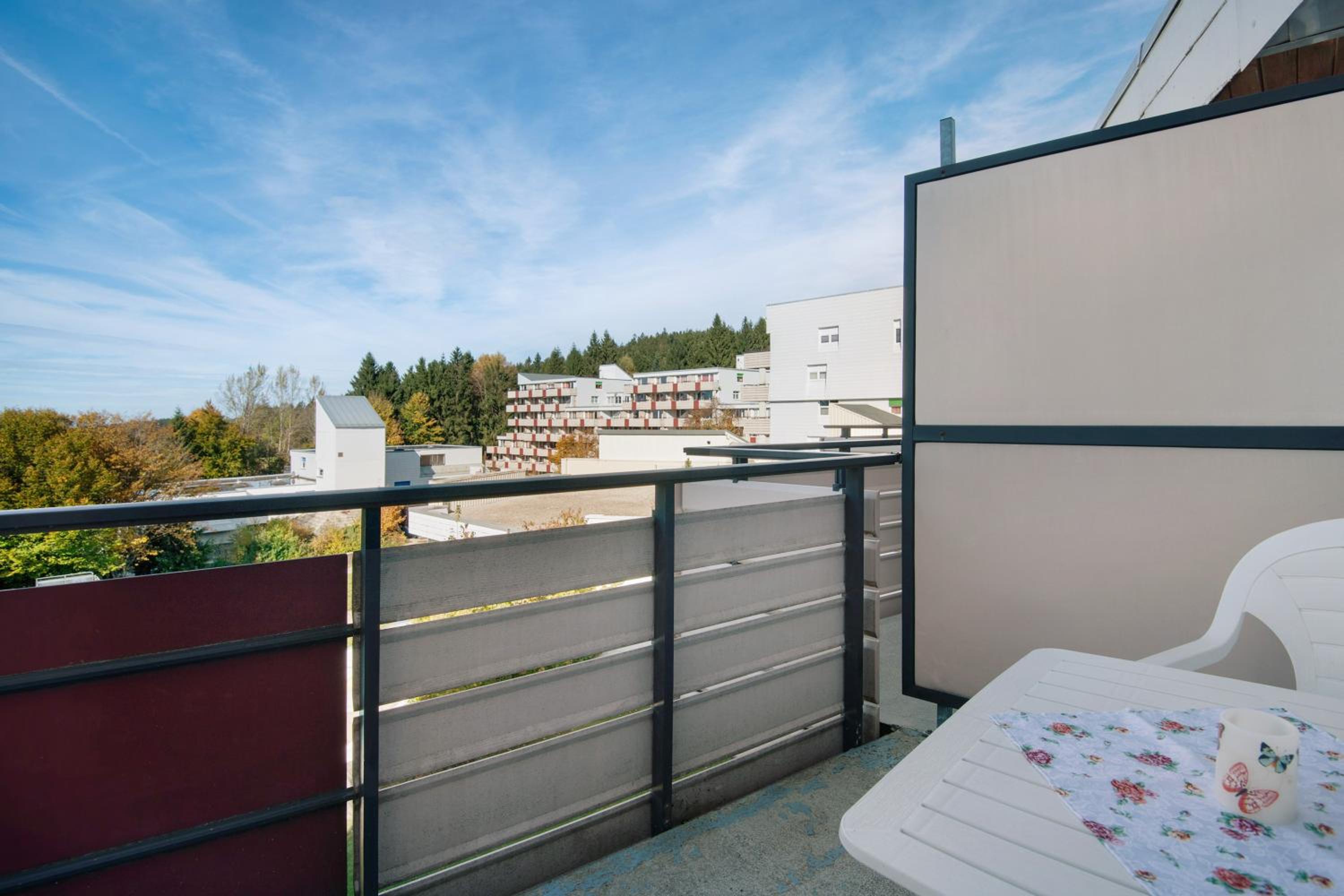 Superior One-Bedroom Apartment with Balcony photo 2