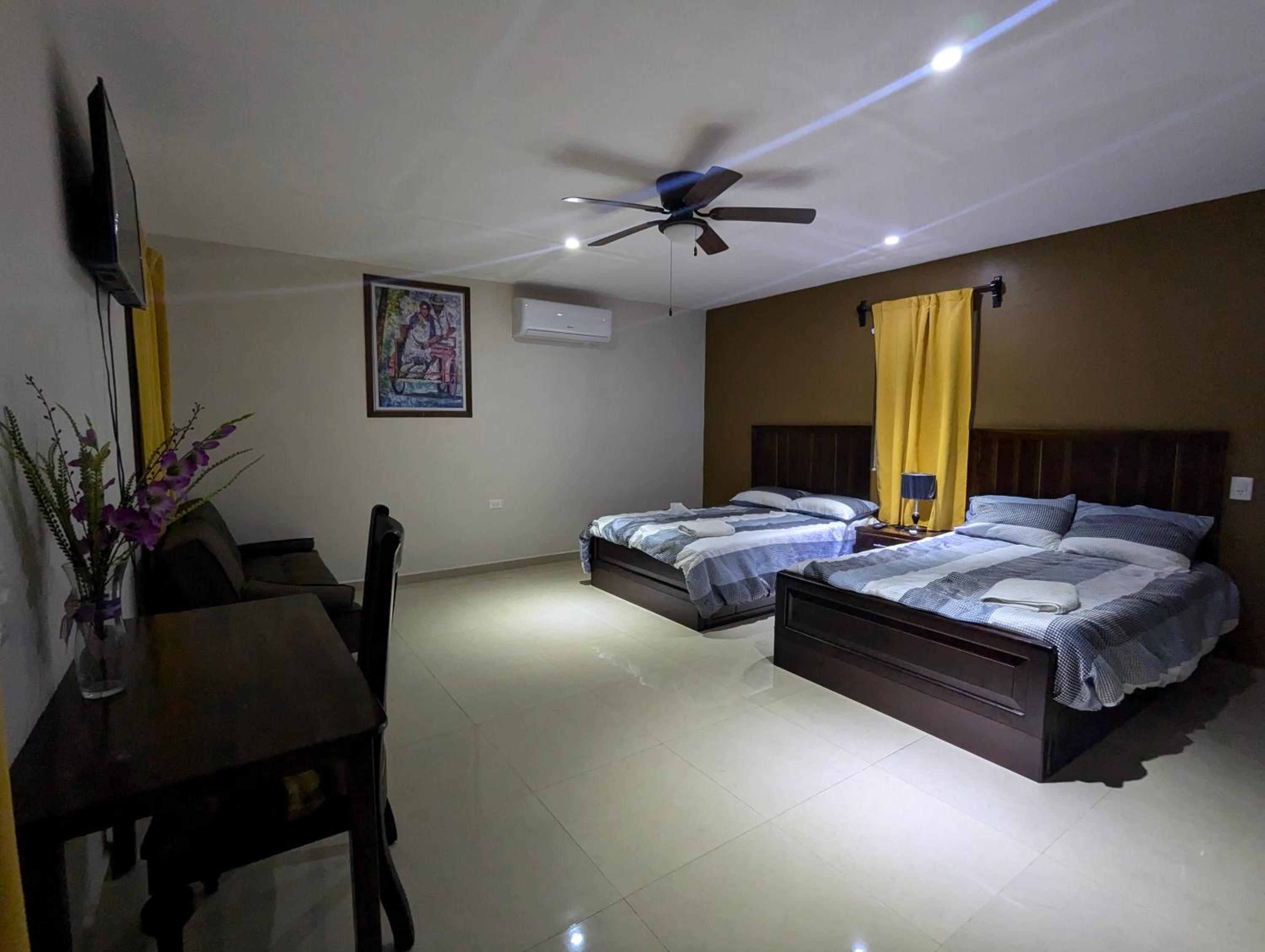 Suite - Photo 1