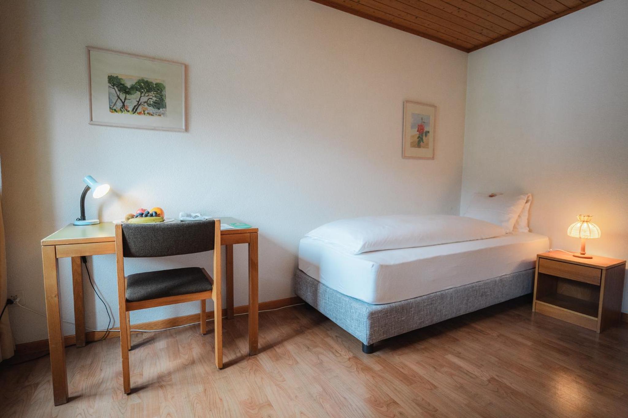 Single Room Standard photo 3
