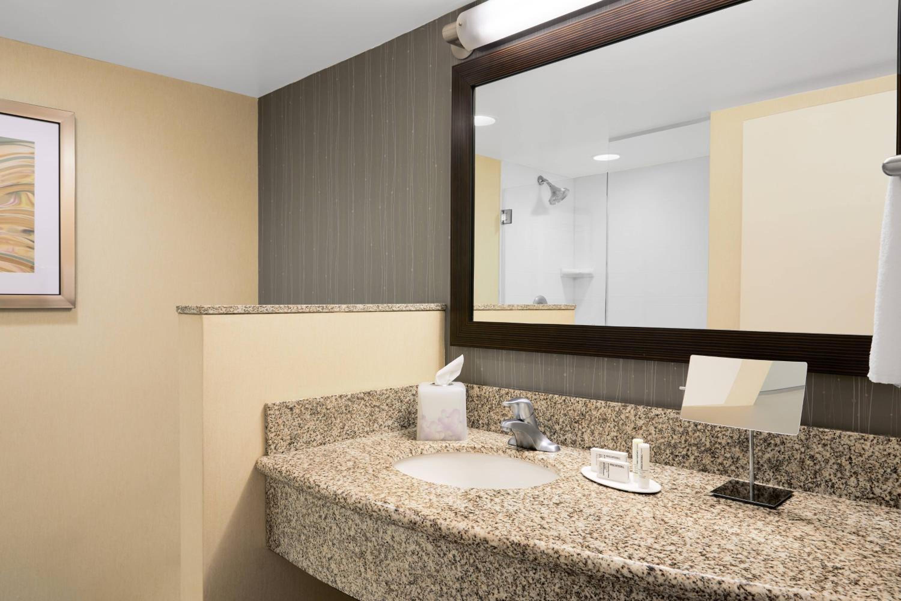 King Studio Suite with Sofa Bed photo 2