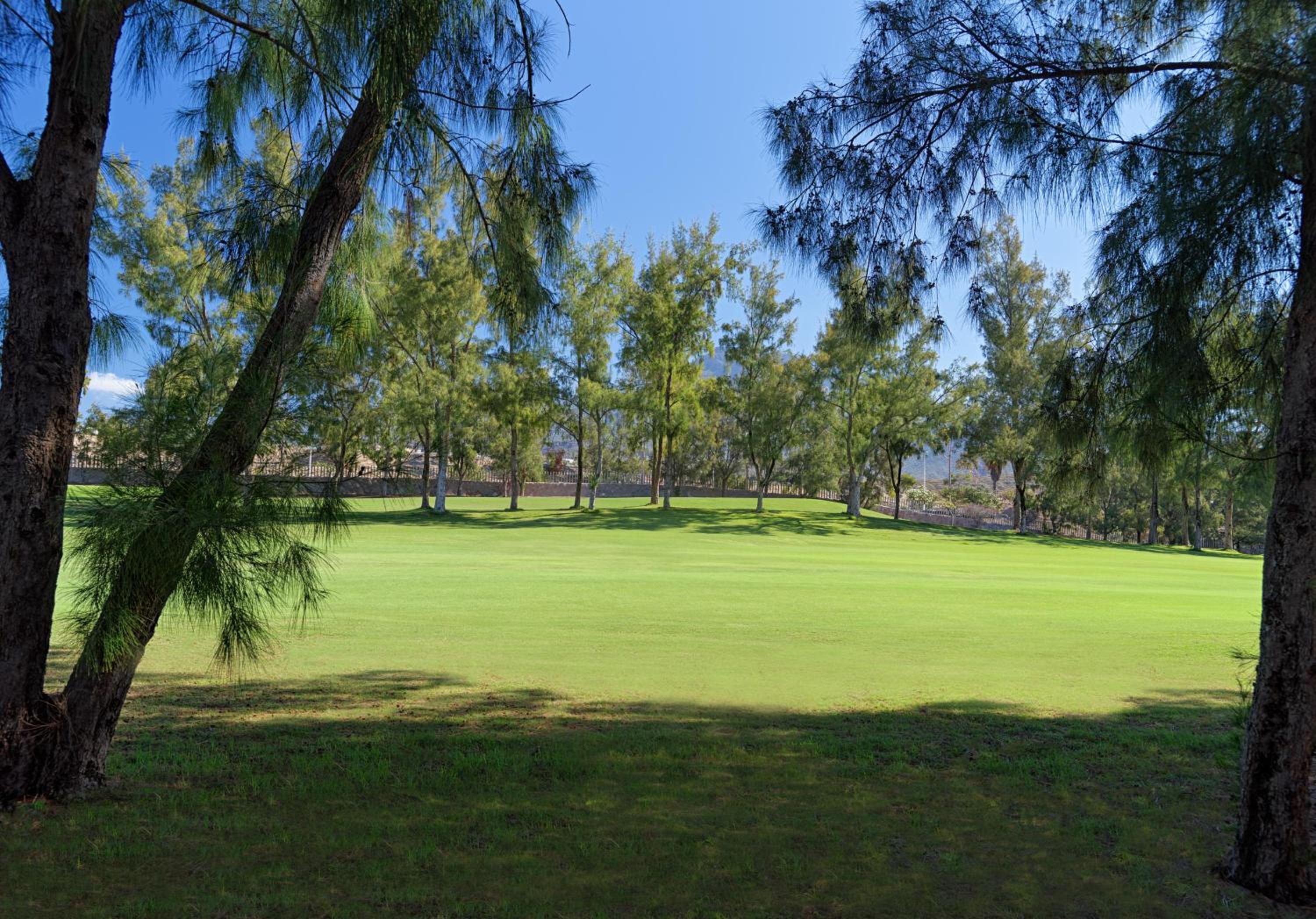 One-Bedroom Villa with Golf View