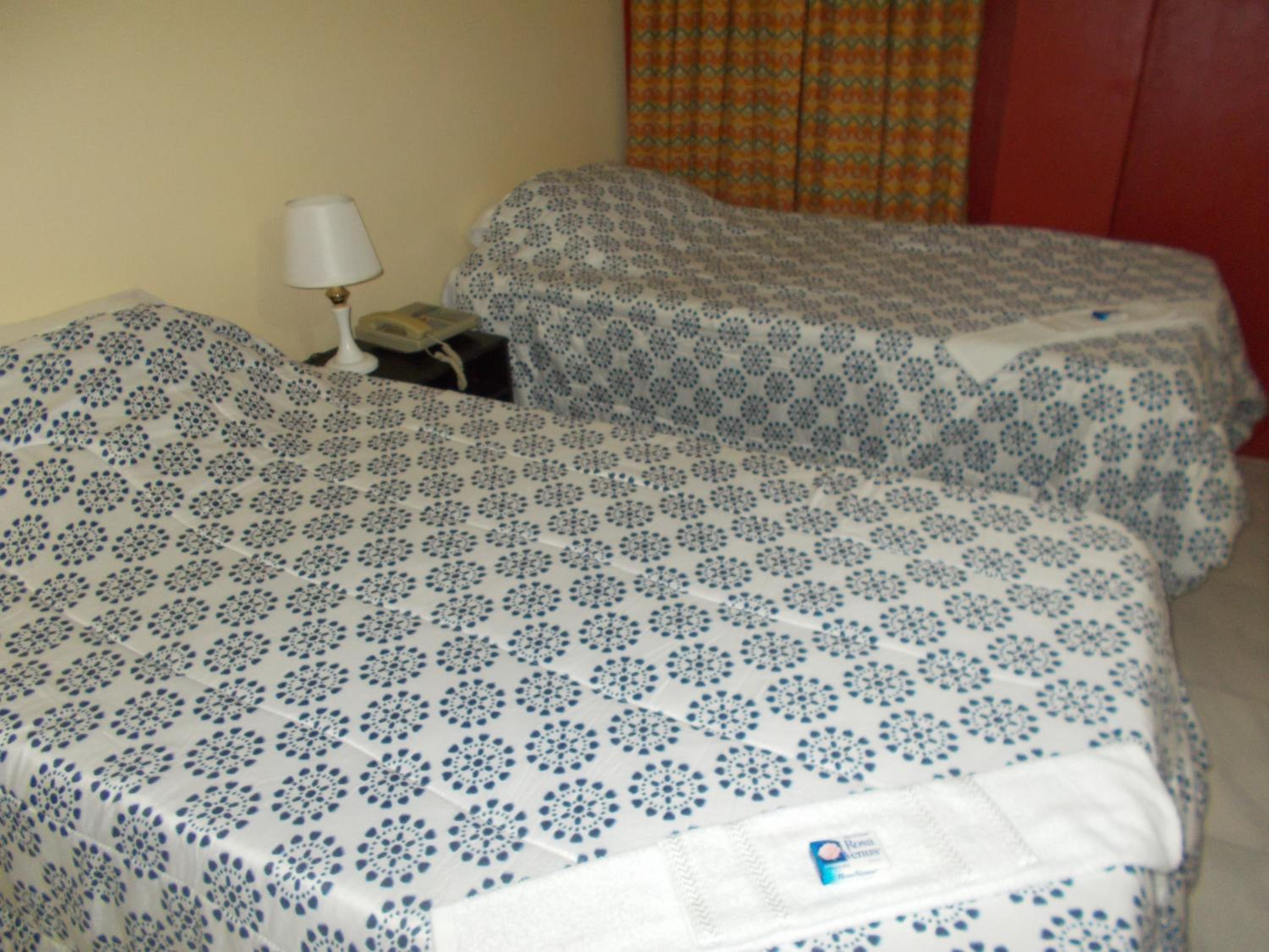 Twin Room photo 3