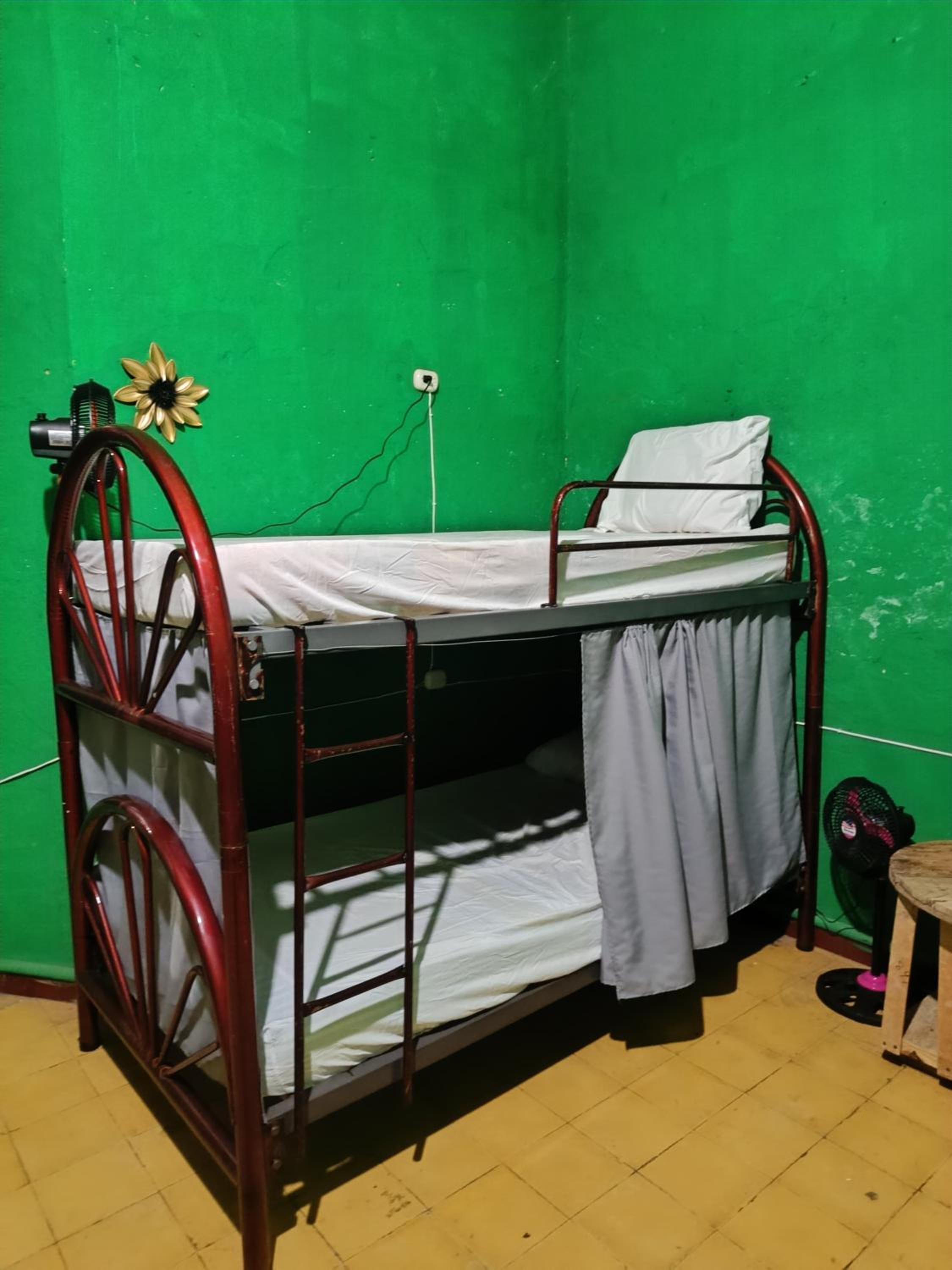 Bunk Bed in Mixed Dormitory Room photo 1