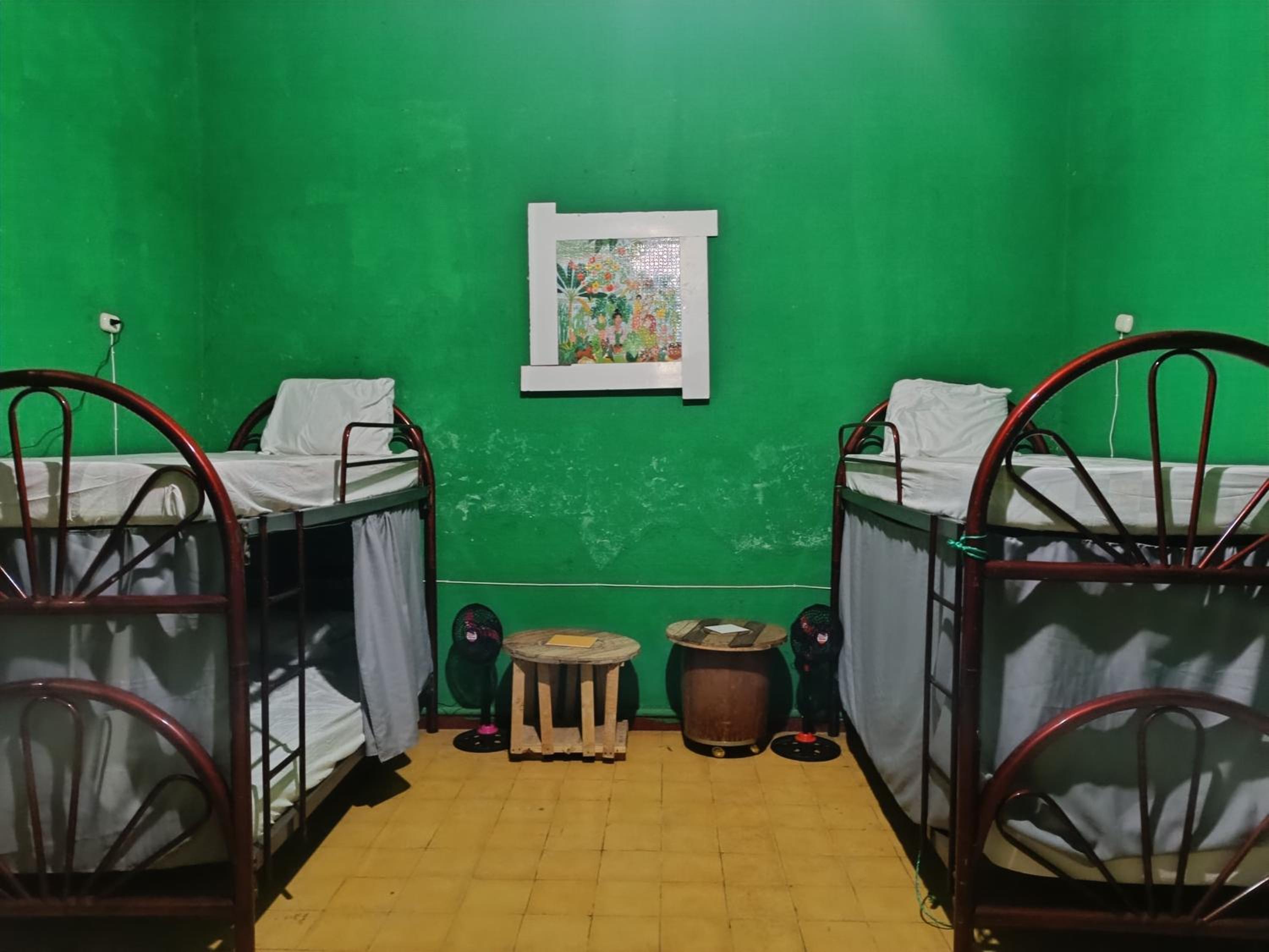 Bunk Bed in Mixed Dormitory Room photo 2