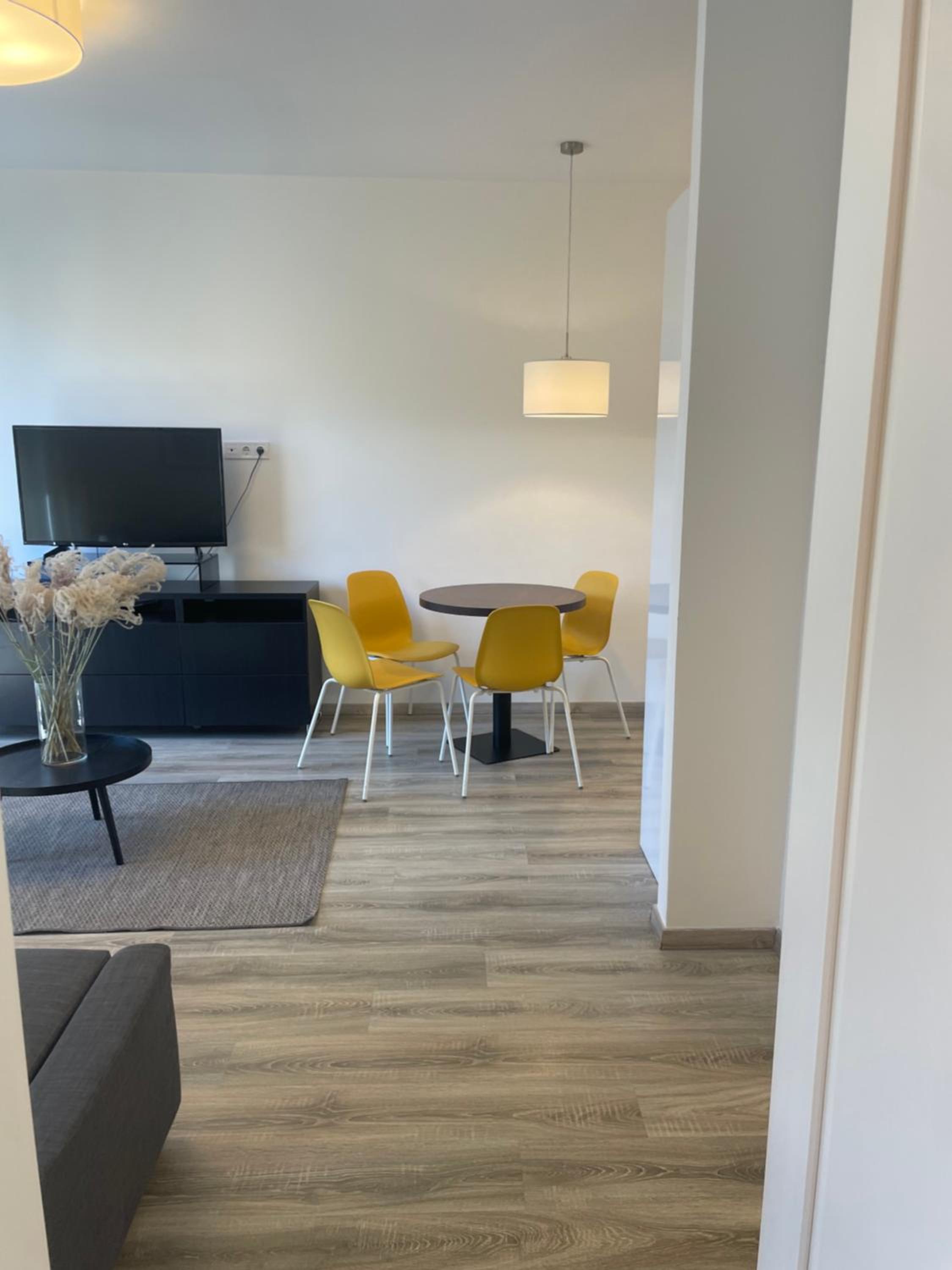 One-Bedroom Apartment With Park View