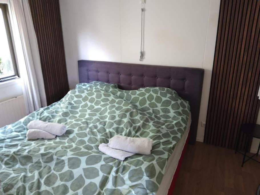 Apartment with Terrace photo 1