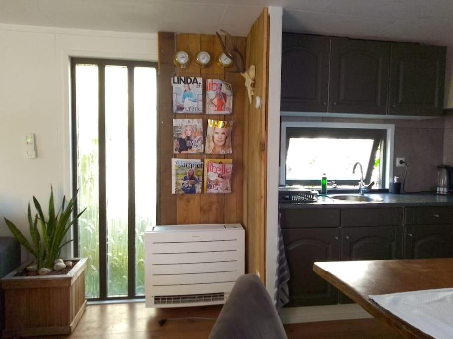 Apartment with Terrace photo 3