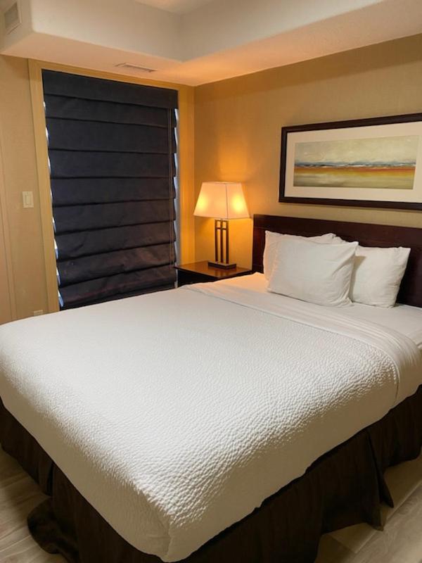 Studio Suite King Bed photo 1