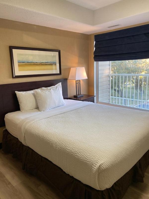 Studio Suite Queen Bed photo 1