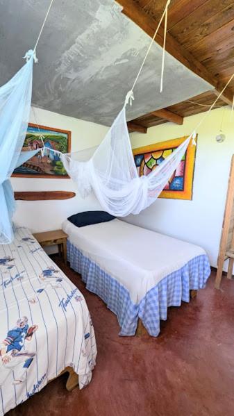 Twin Room photo 2