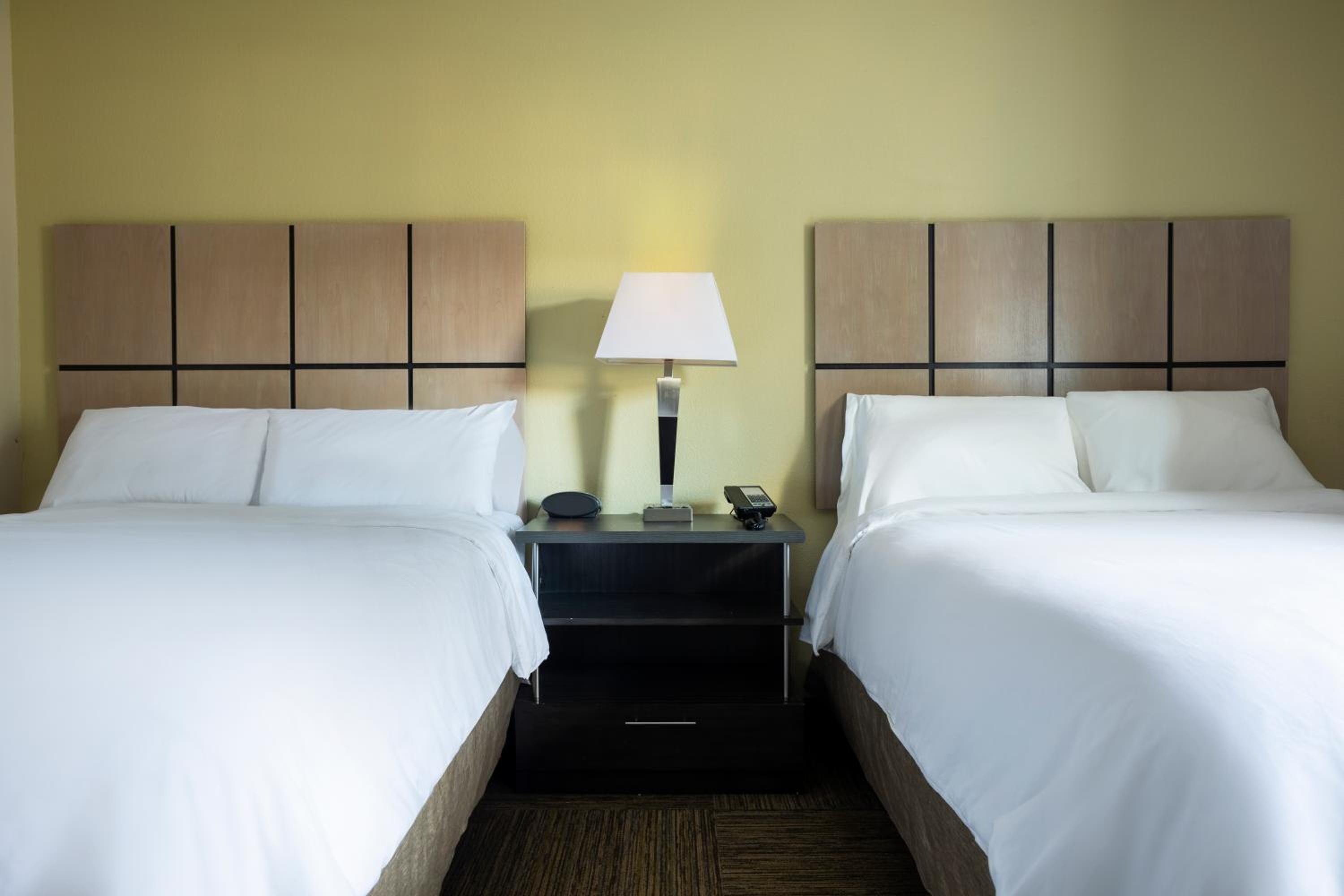 Studio Suite with Two Double Beds - Photo 2