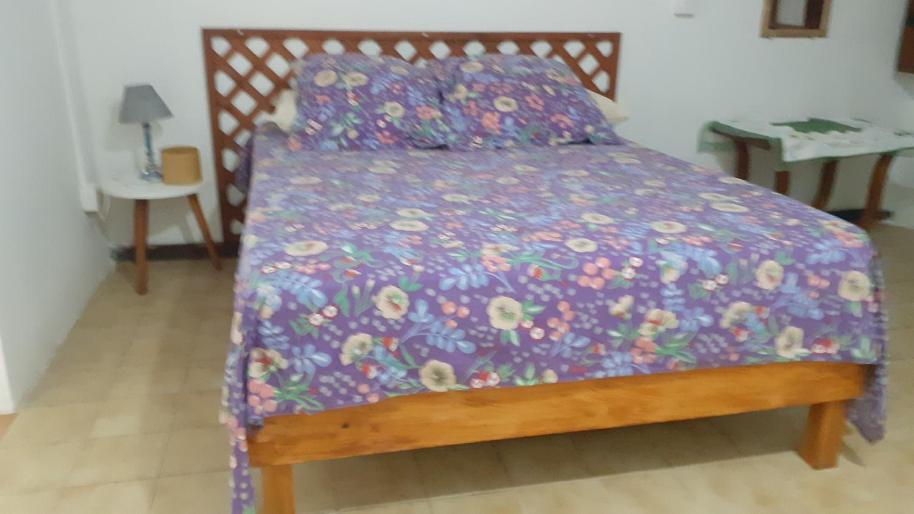 One-Bedroom House photo 1