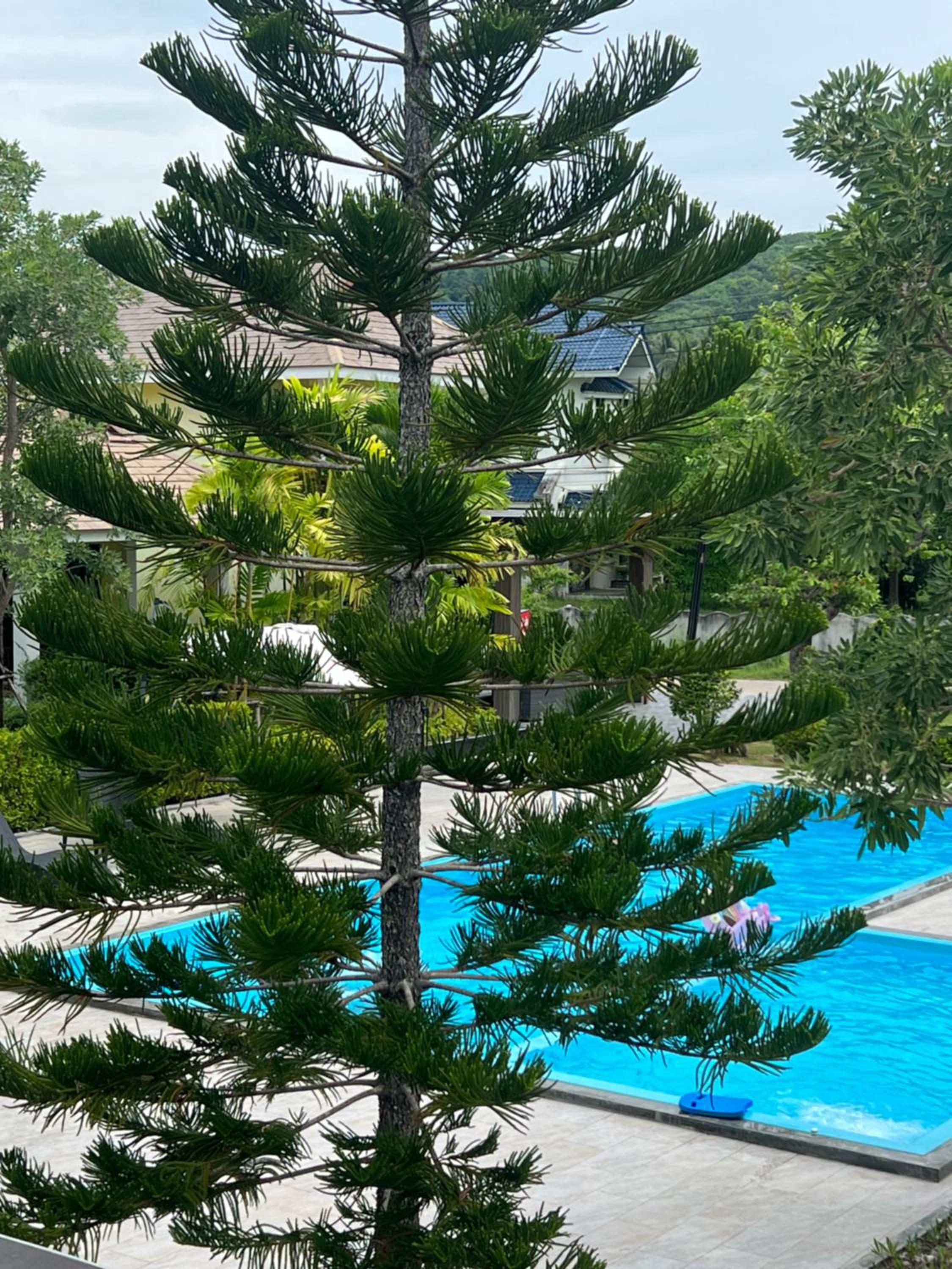 Deluxe Double Room with Balcony photo 3