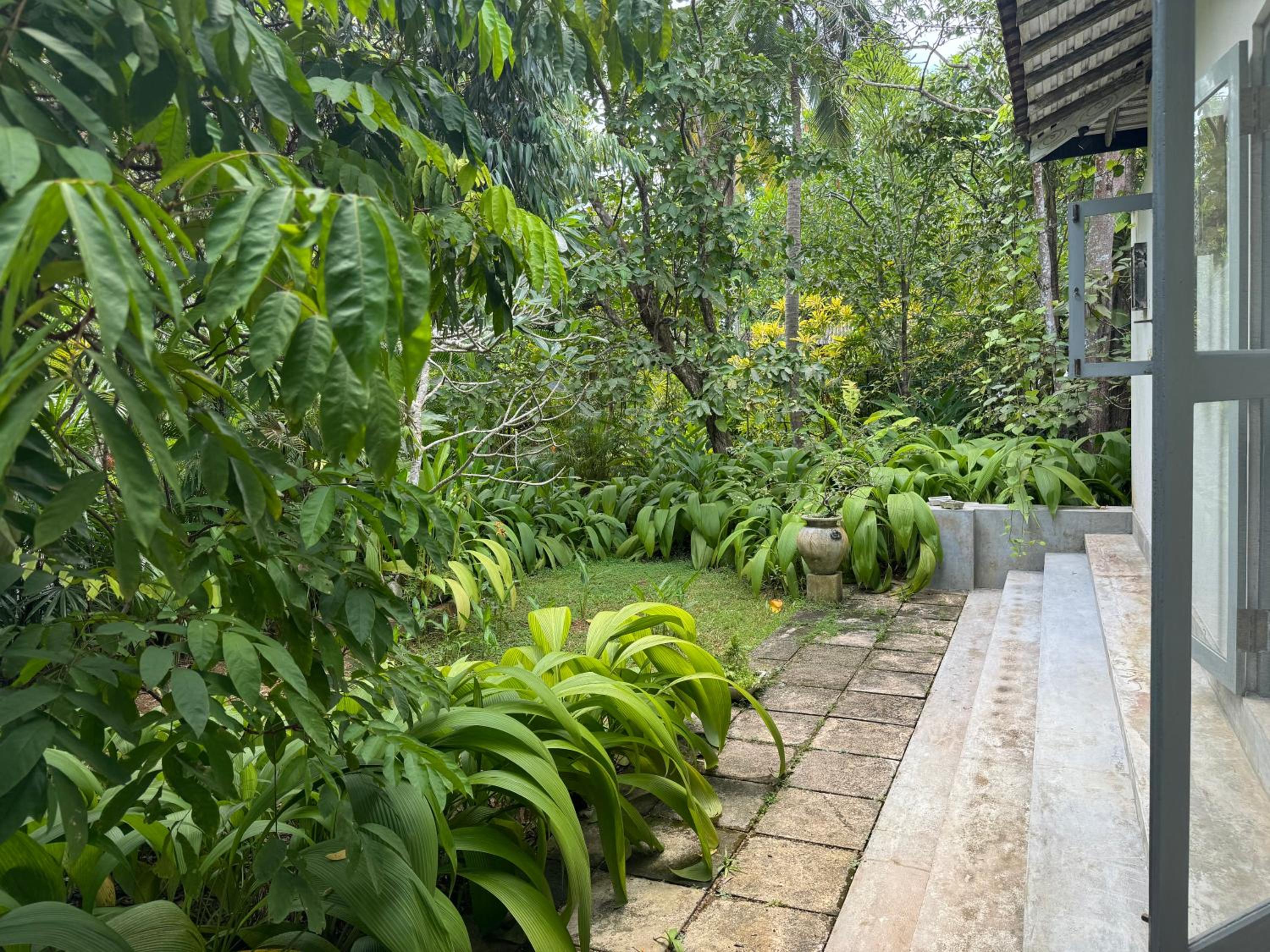 Standard Double Room - Photo 6