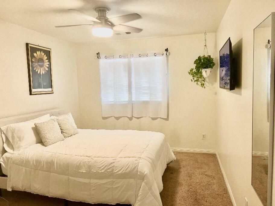 Six-Bedroom House photo 1