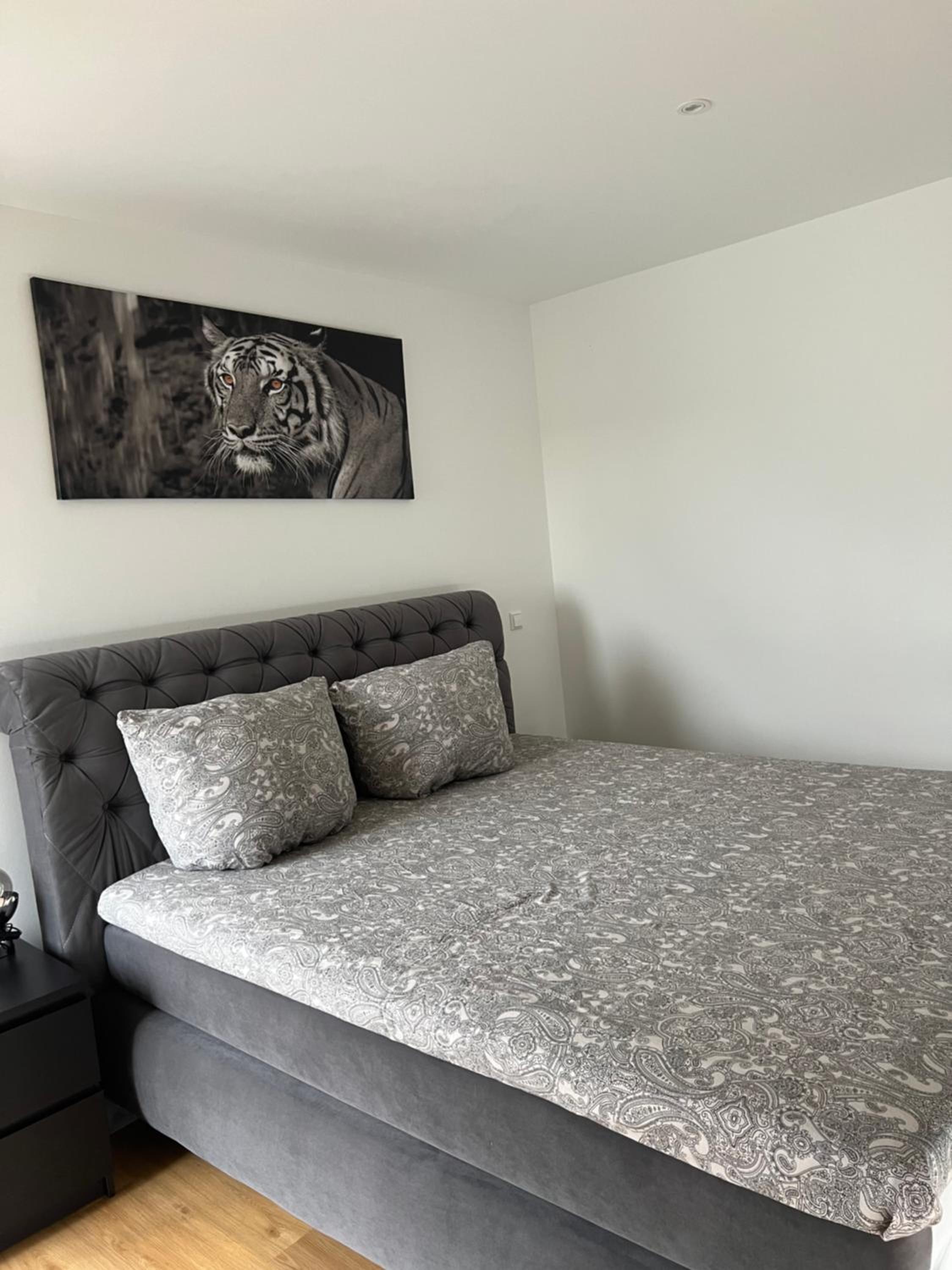 One-Bedroom Apartment photo 3