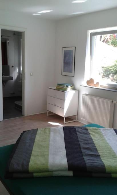 One-Bedroom Apartment photo 3