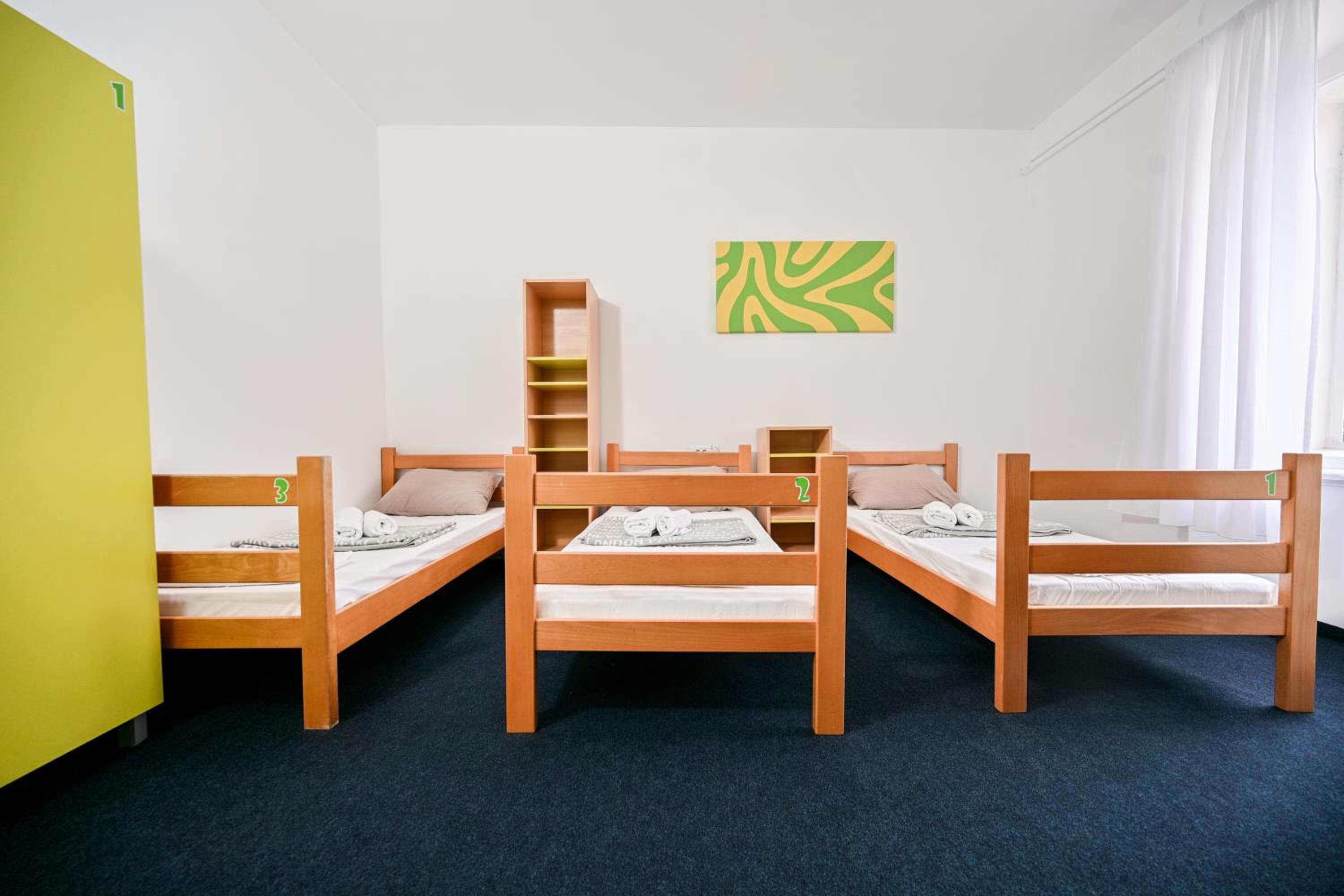 Bunk Bed in Mixed Dormitory Room photo 3