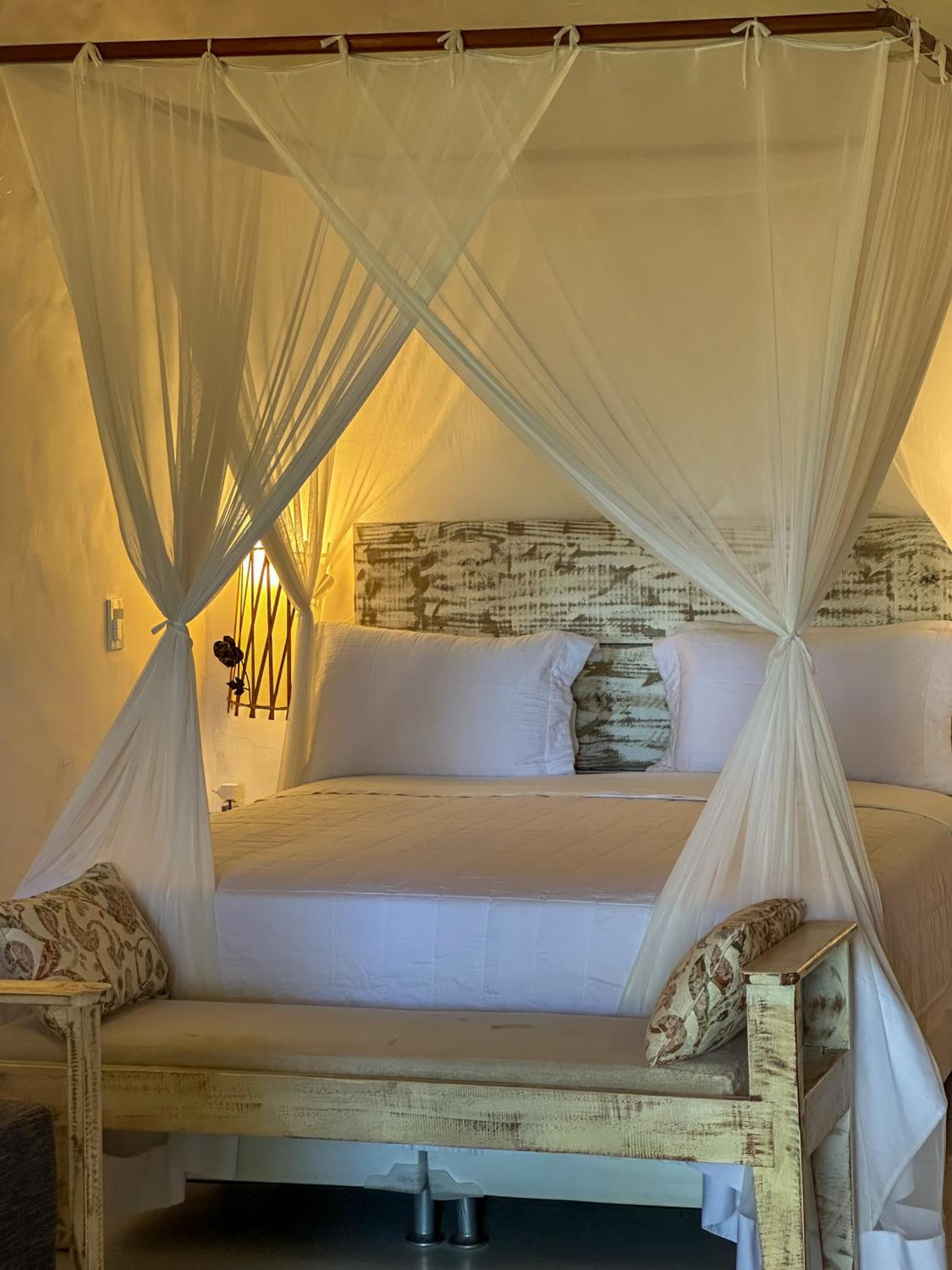 Double Room with Garden View photo 1