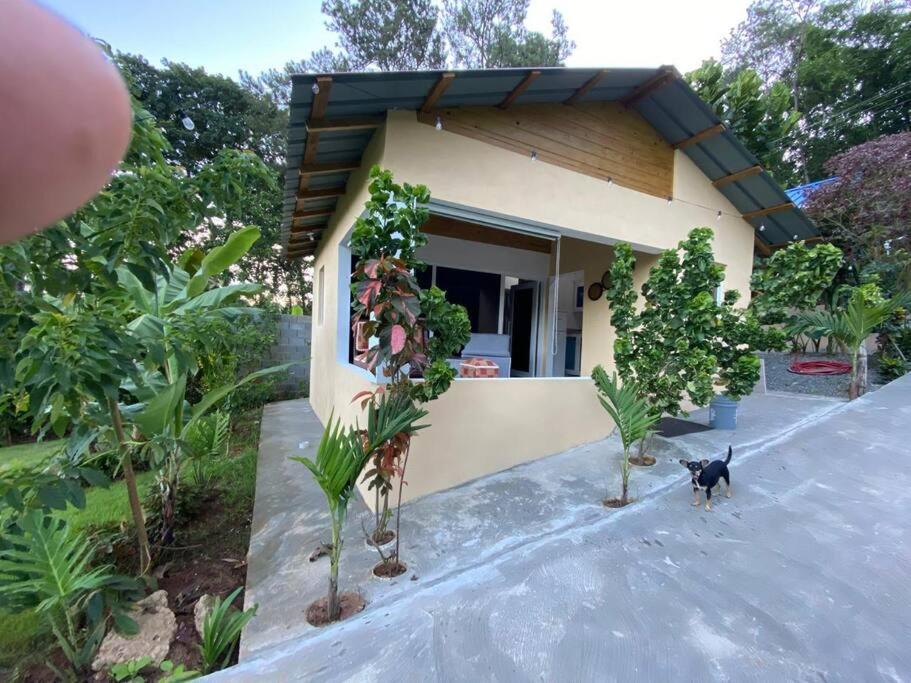 One-Bedroom Villa photo 1