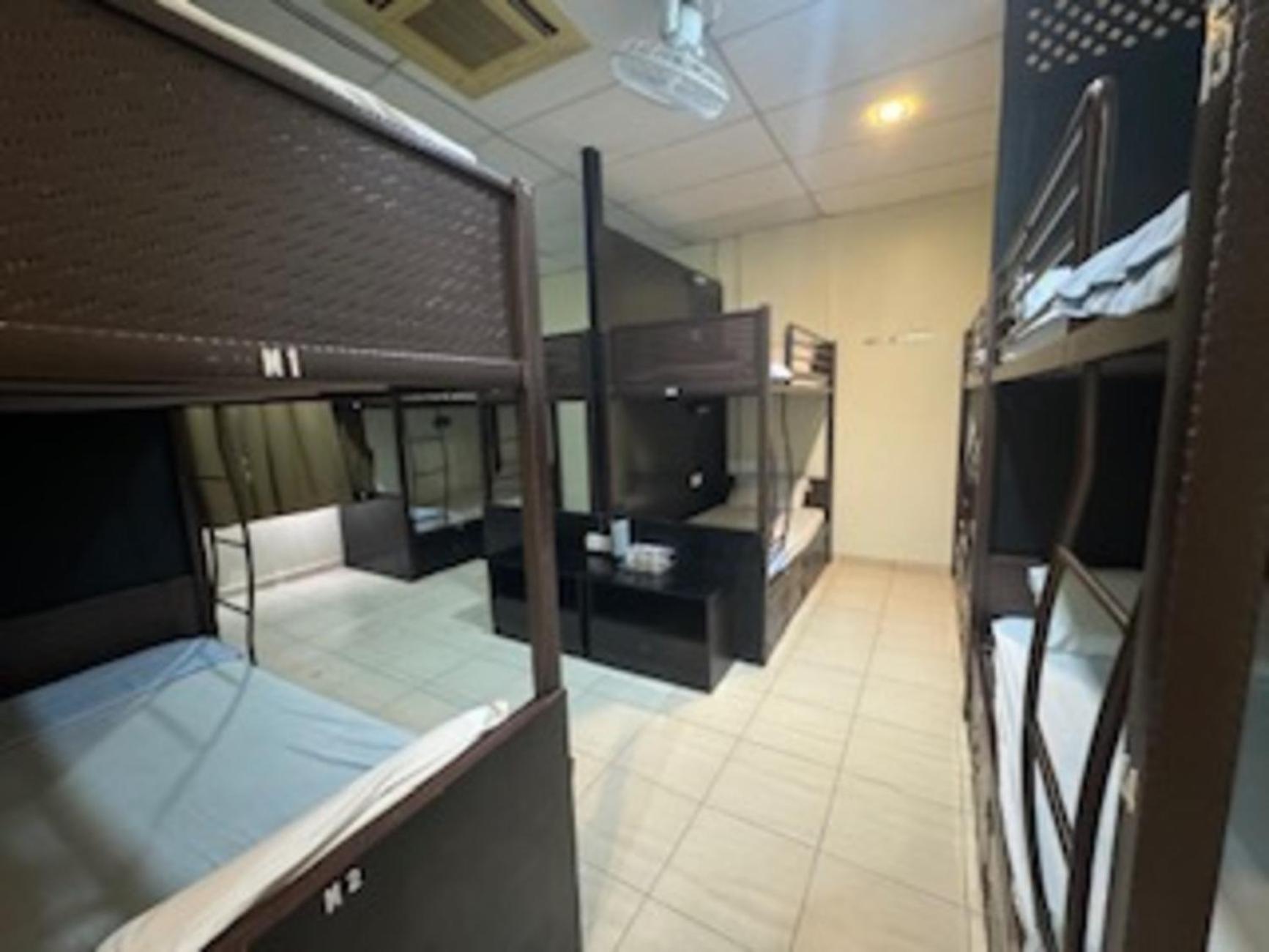 Bunk Bed In Male Dormitory Room  photo 3