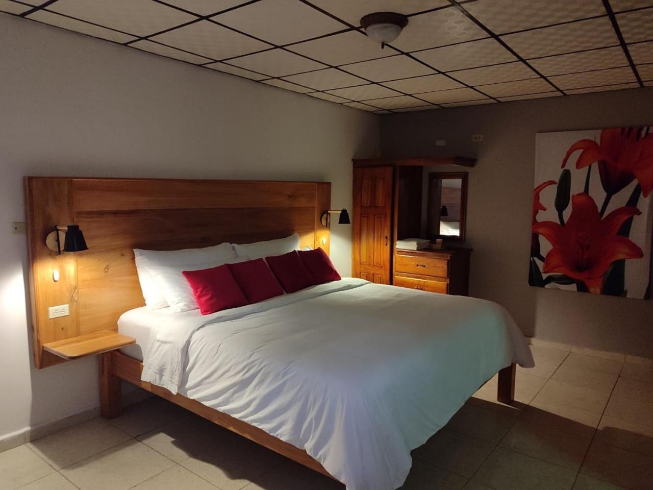 Superior King Room photo 3