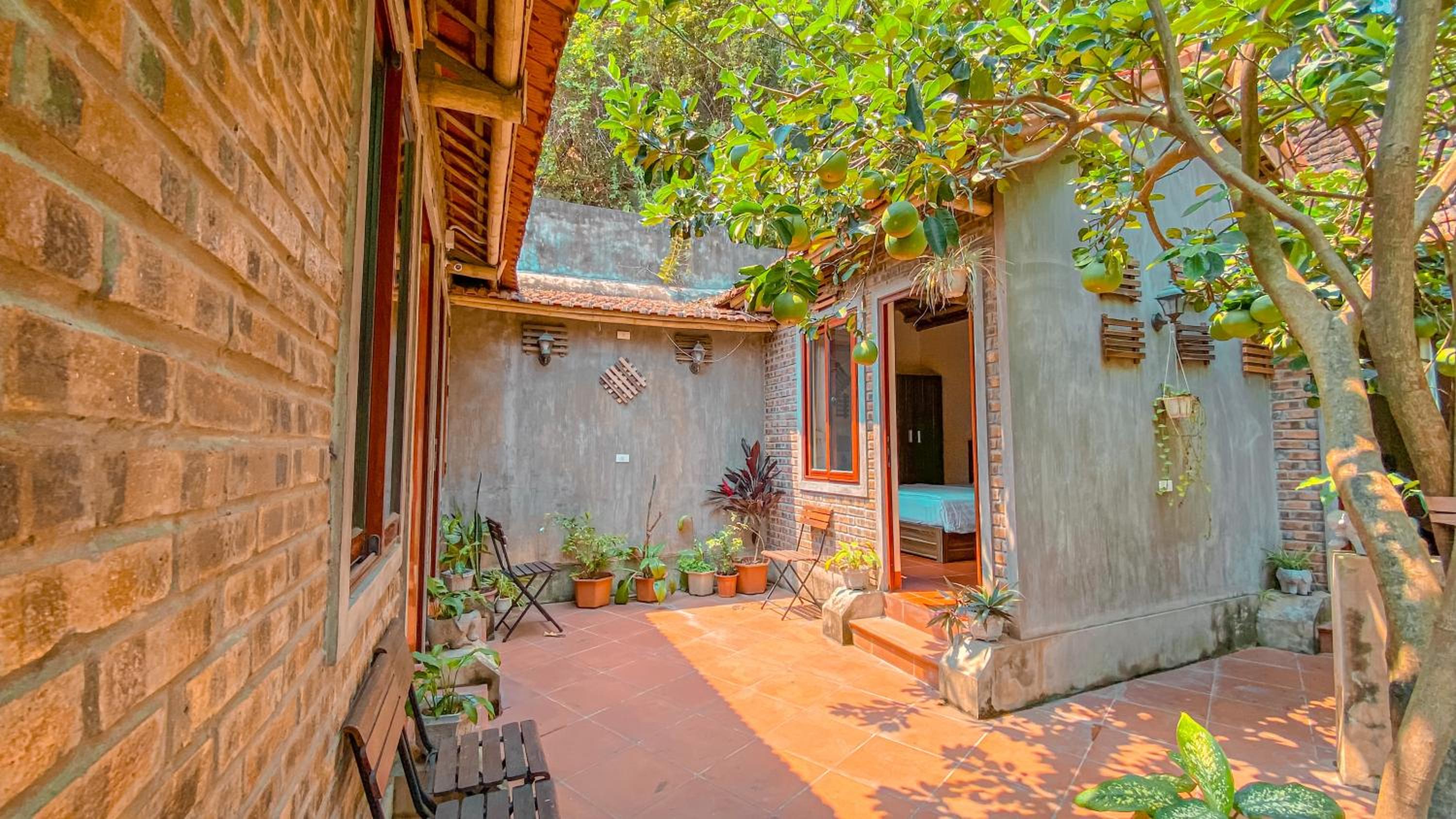 Triple Room with Terrace photo 2