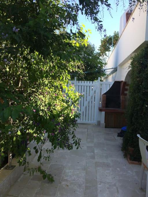 One-Bedroom House photo 2