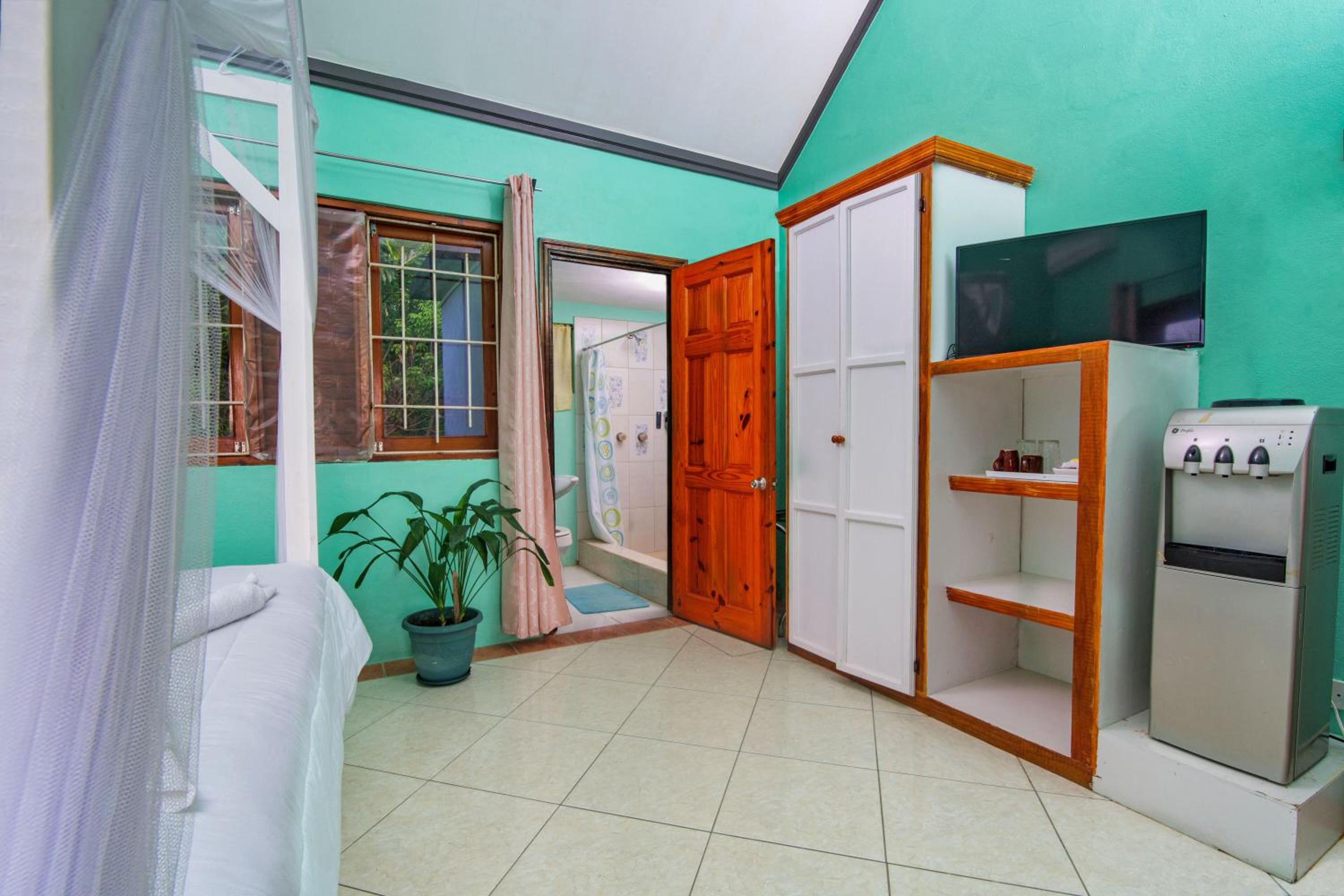 Deluxe King Suite photo 2