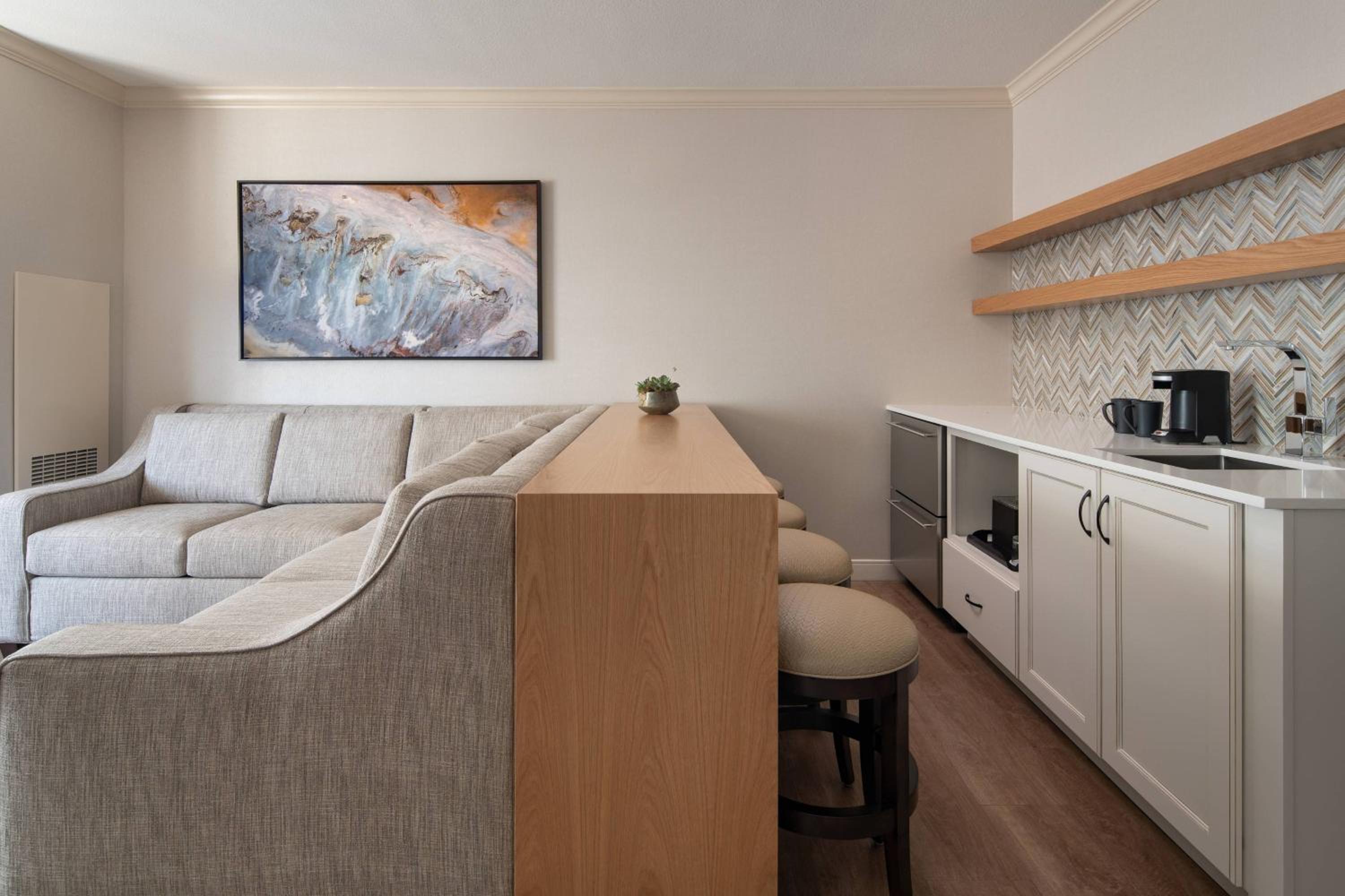 One-Bedroom Suite with City View photo 3