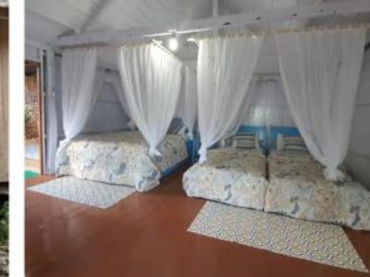 Family Room with Balcony - Photo 2