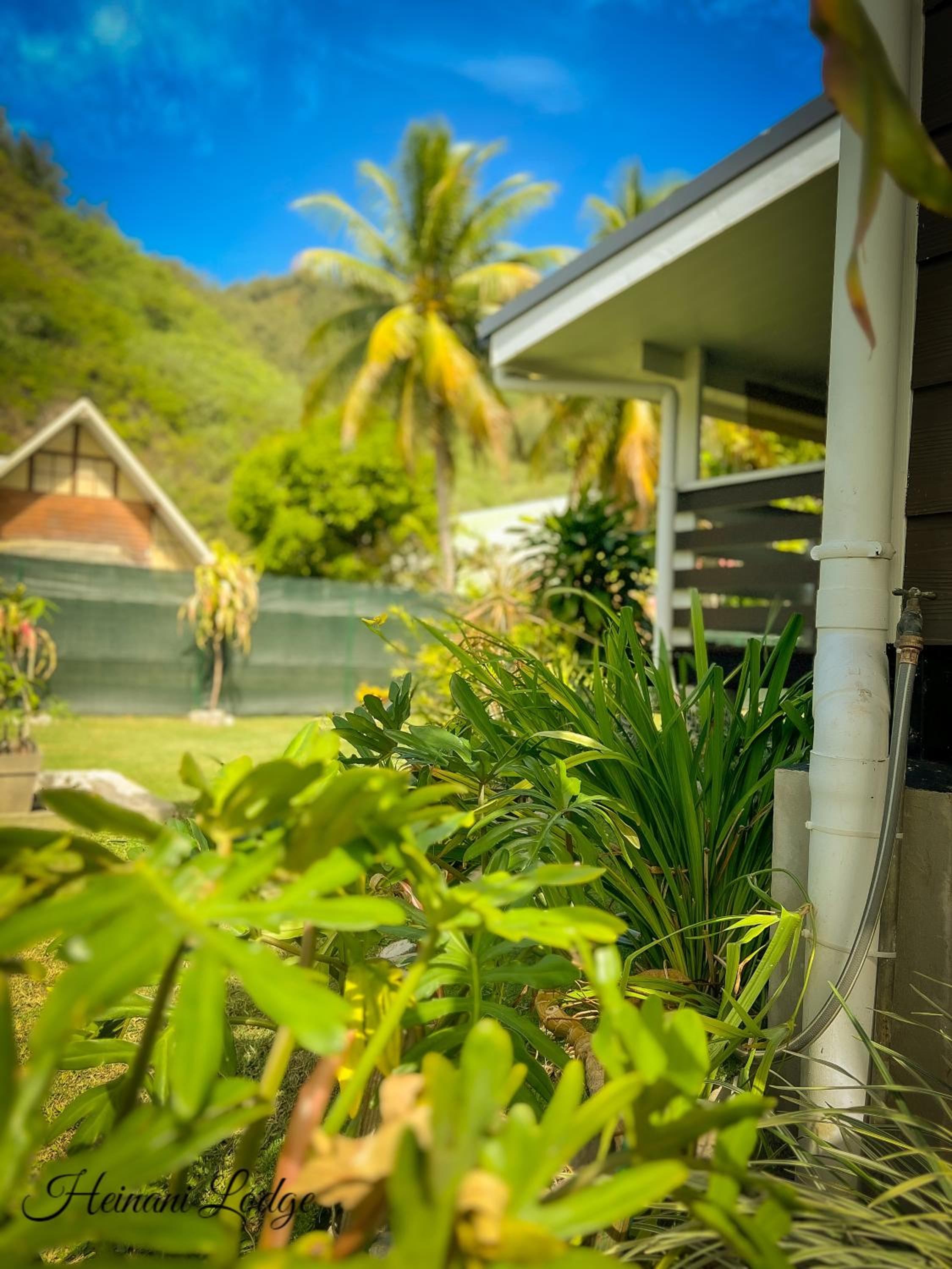 Villa - Beach Front photo 2
