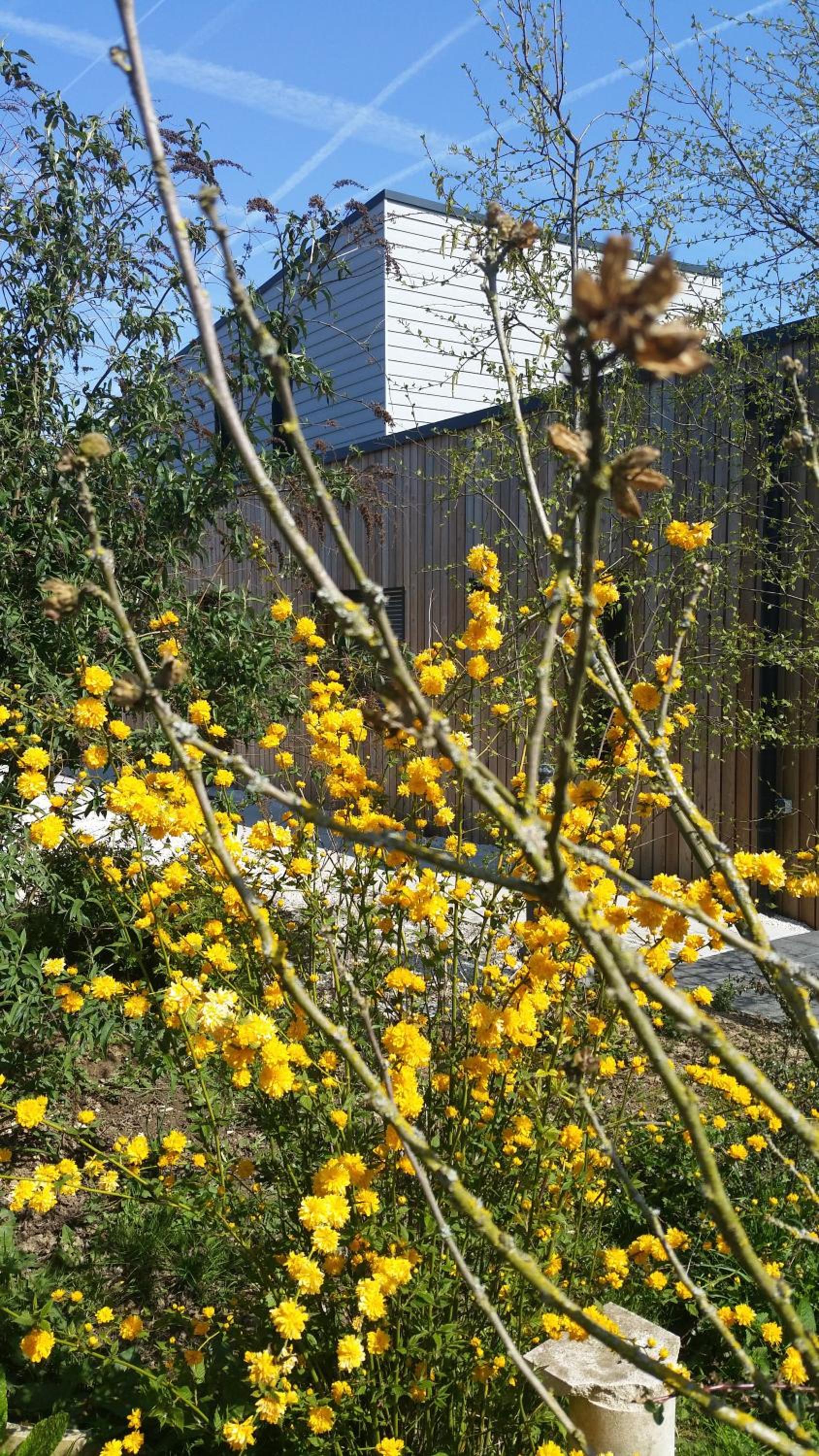 Holiday Home photo 2