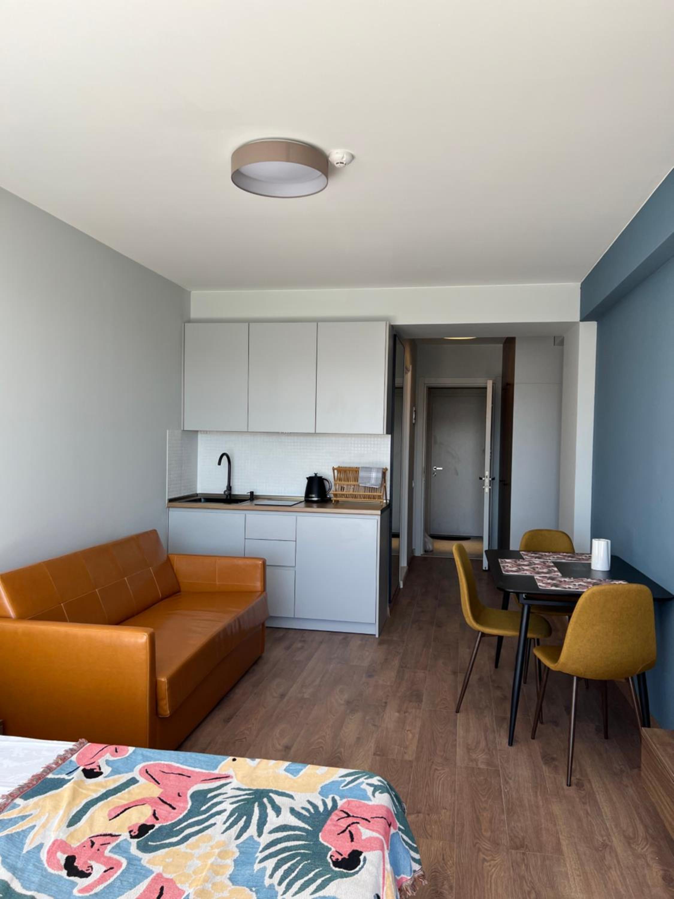 One-Bedroom Apartment photo 1