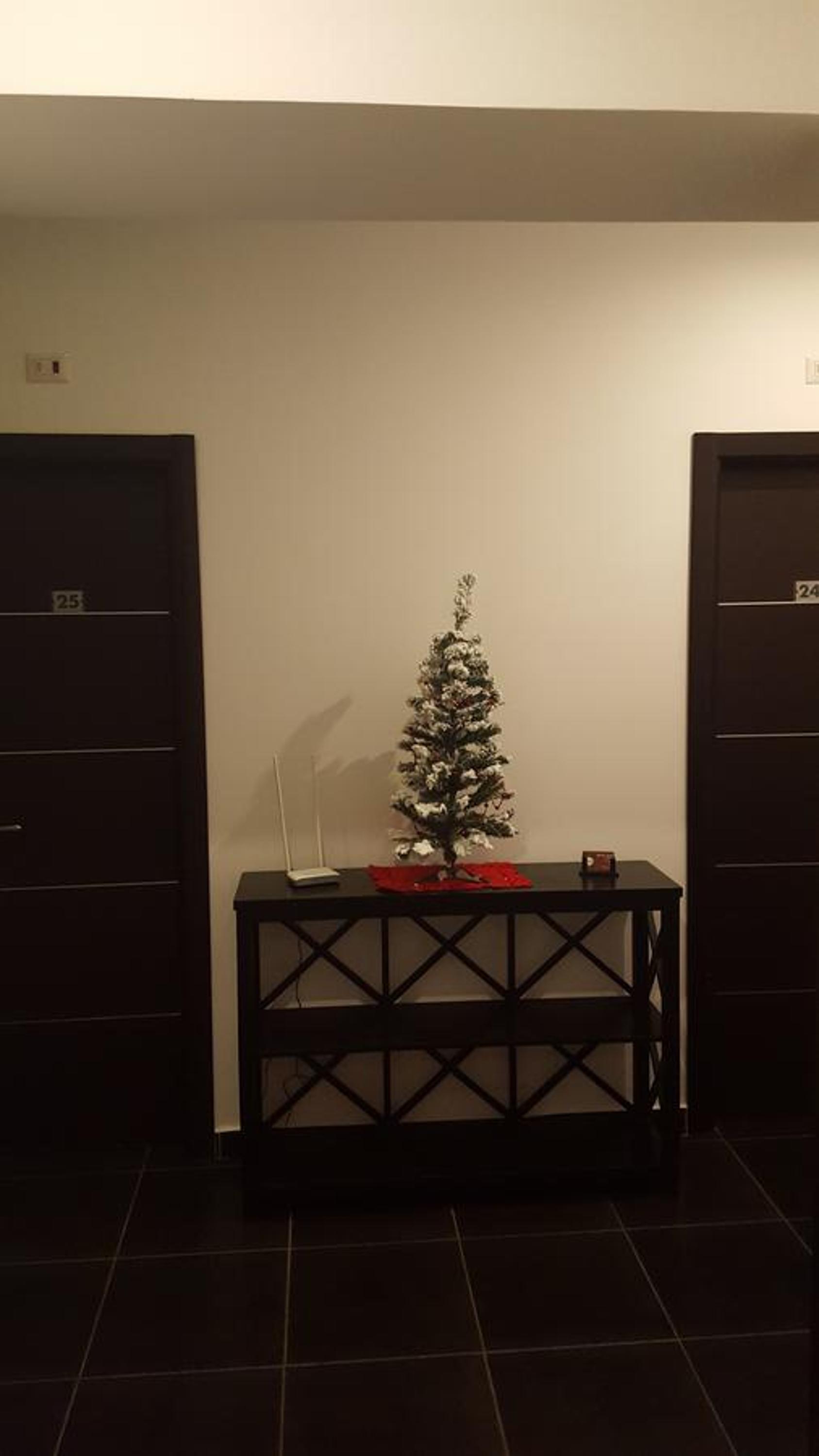 Twin Room photo 2