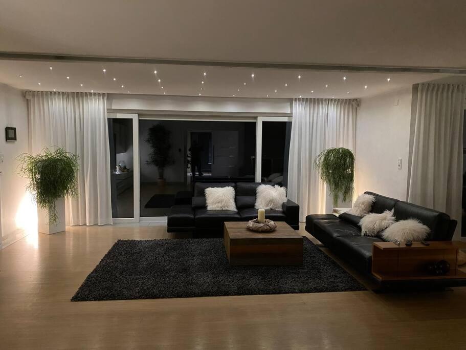 Superior Villa photo 2