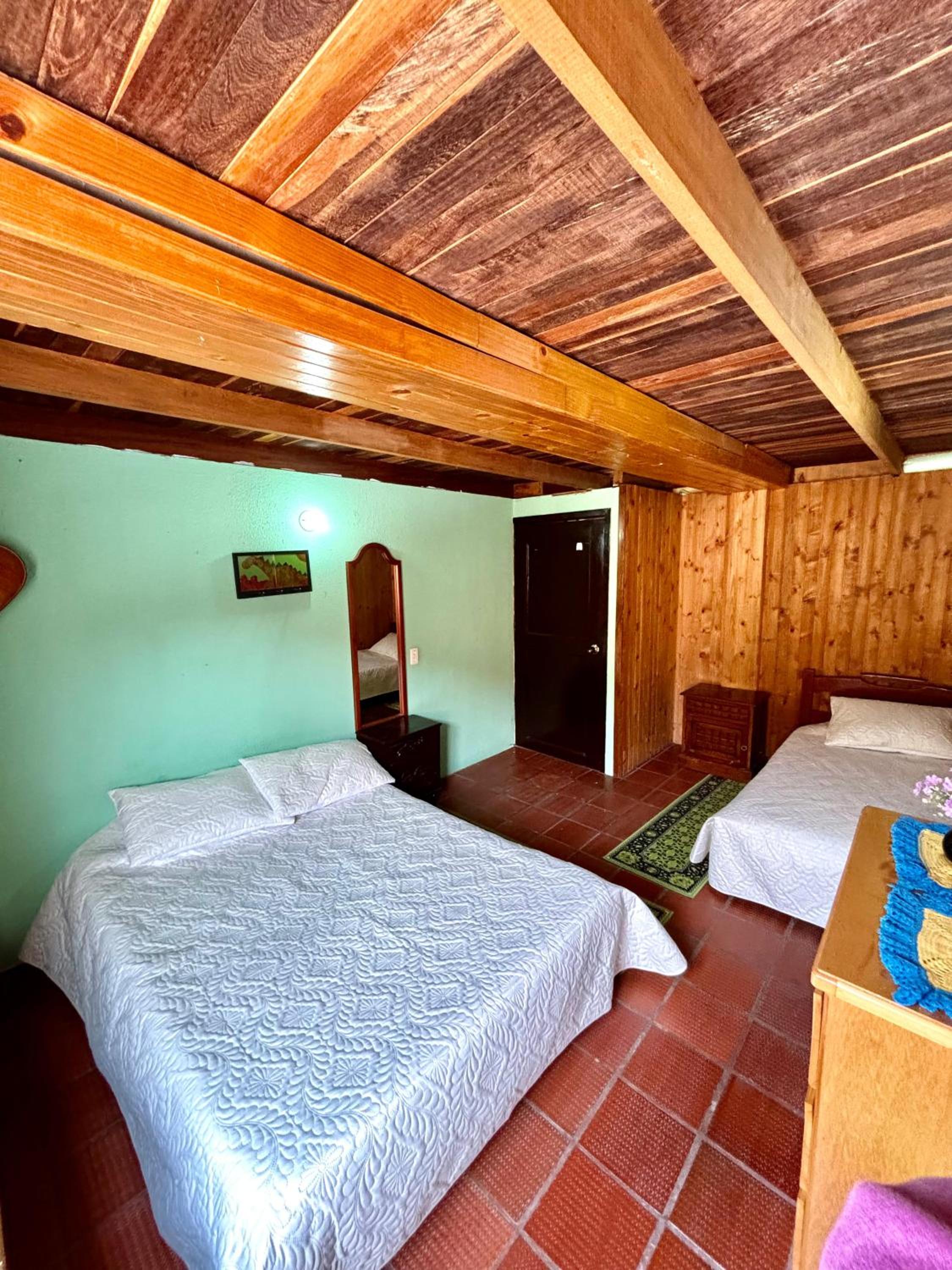 Budget Twin Room photo 3