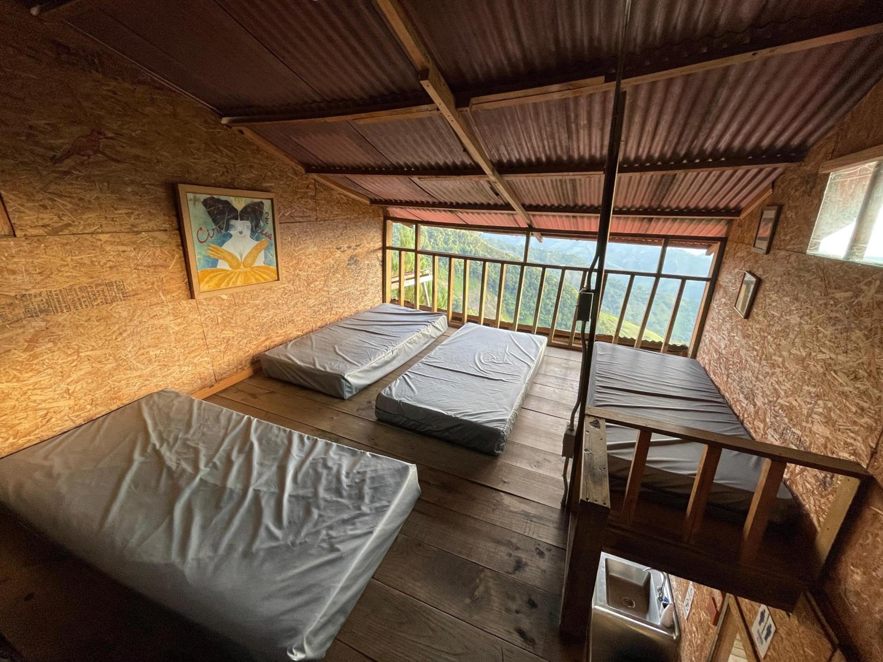 4-Bed Mixed Dormitory Room photo 1