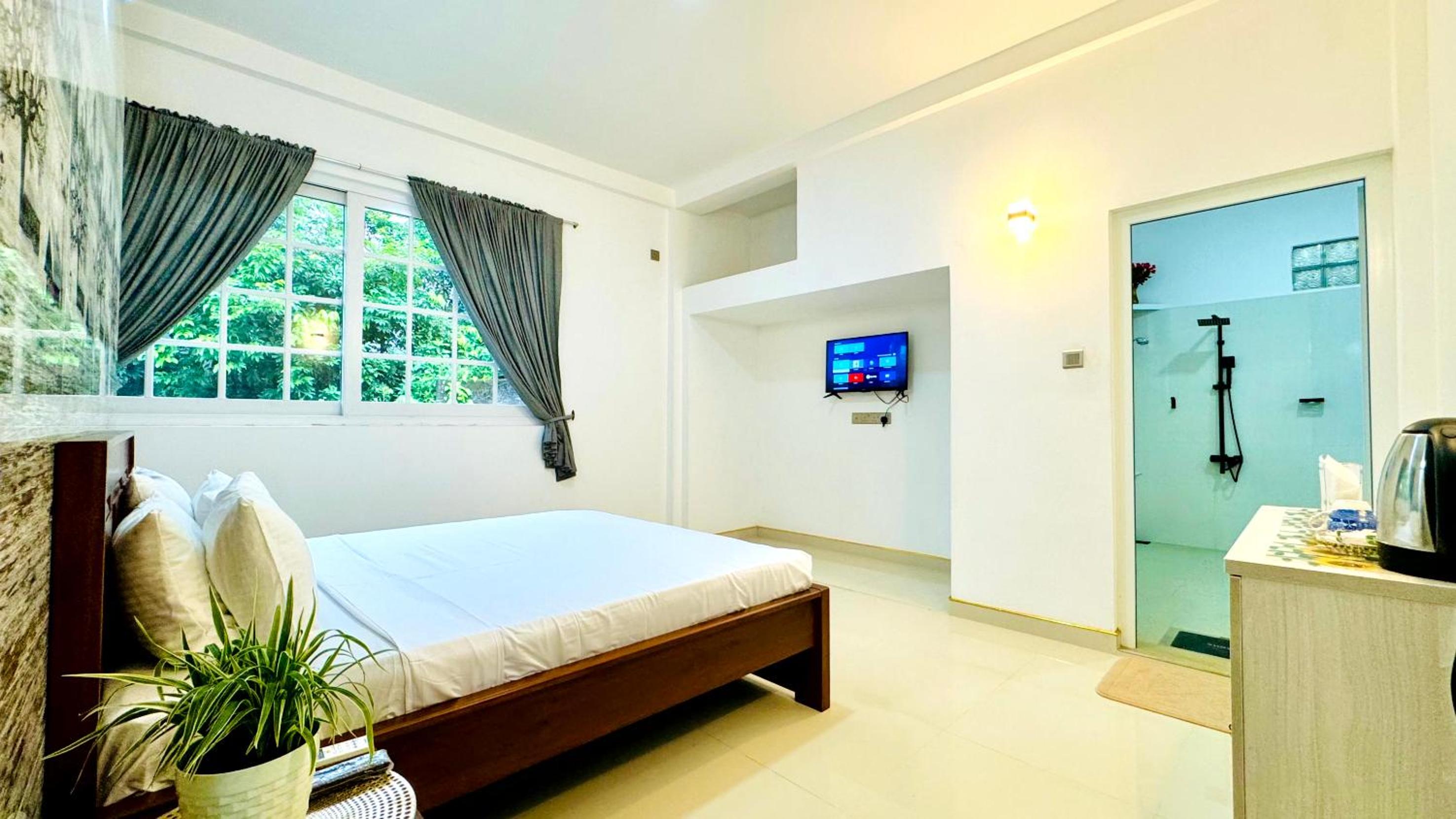 Deluxe Double Room photo 3
