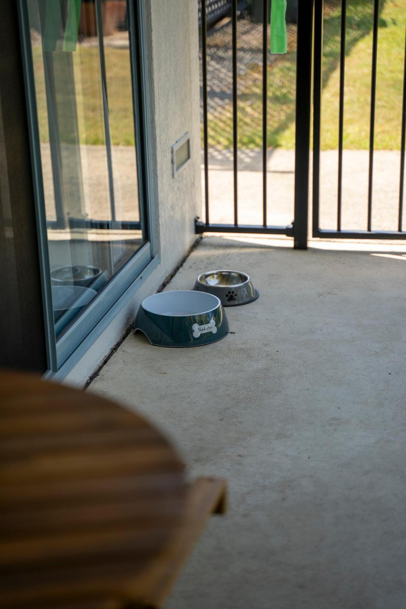 Queen Room - Pet Friendly - Photo 6