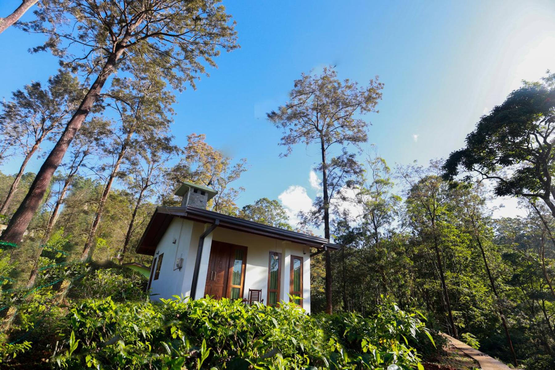 Double Room with Mountain View