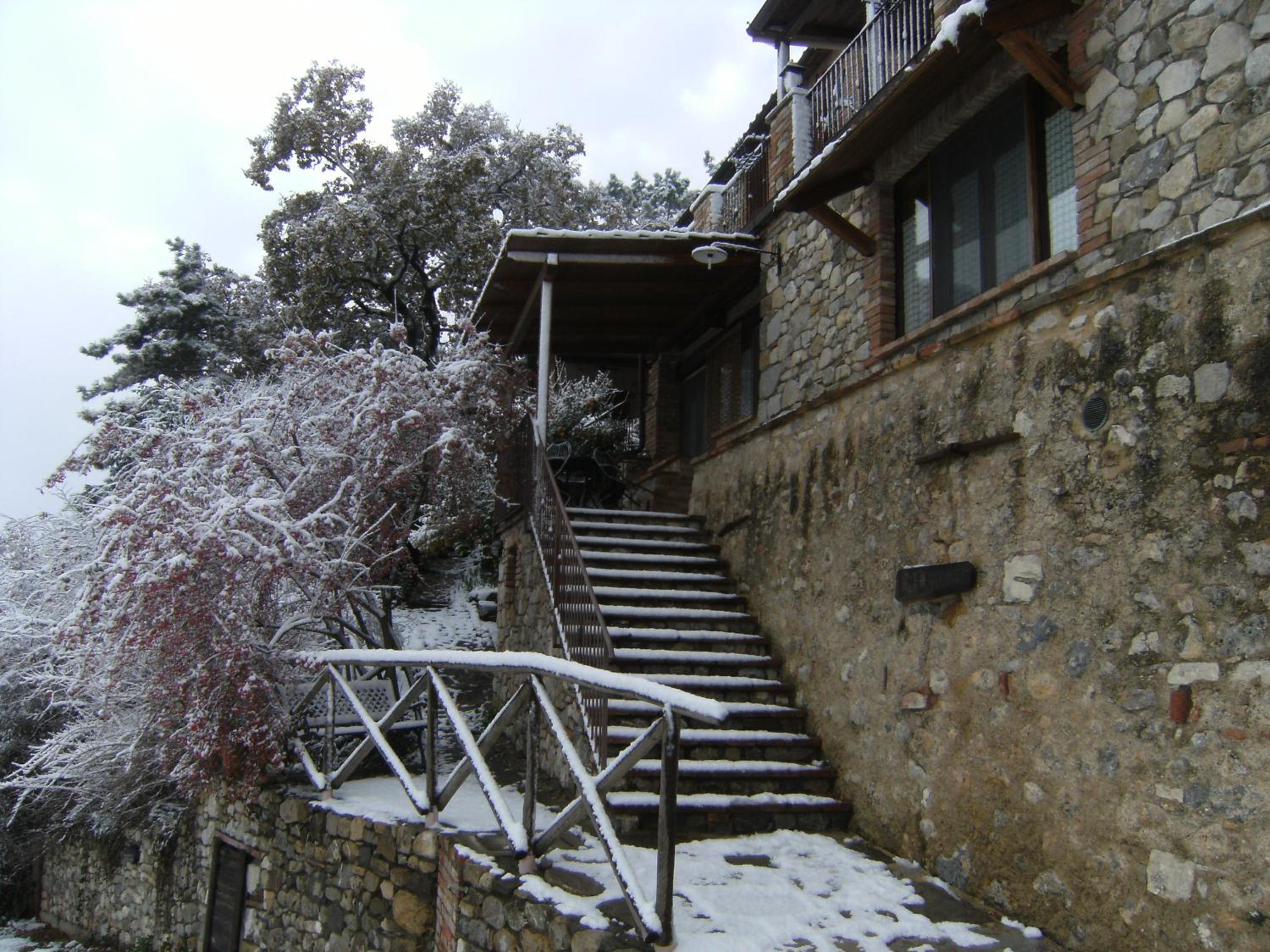 Apartment with Garden View photo 3